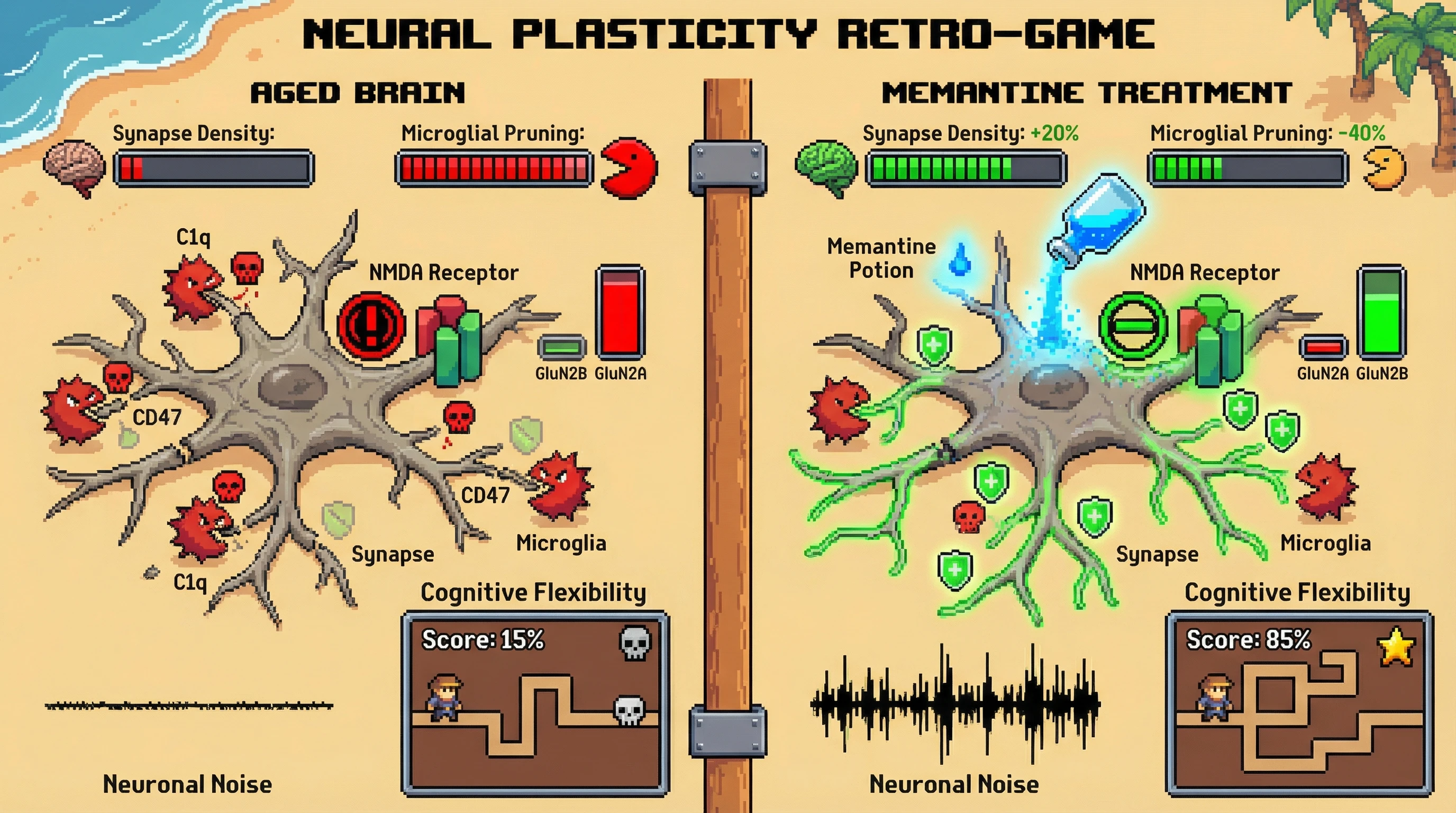 Infographic for: Controlled synaptic noise via low‑dose NMDA antagonism counters age‑related microglial over‑pruning and restores cognitive flexibility