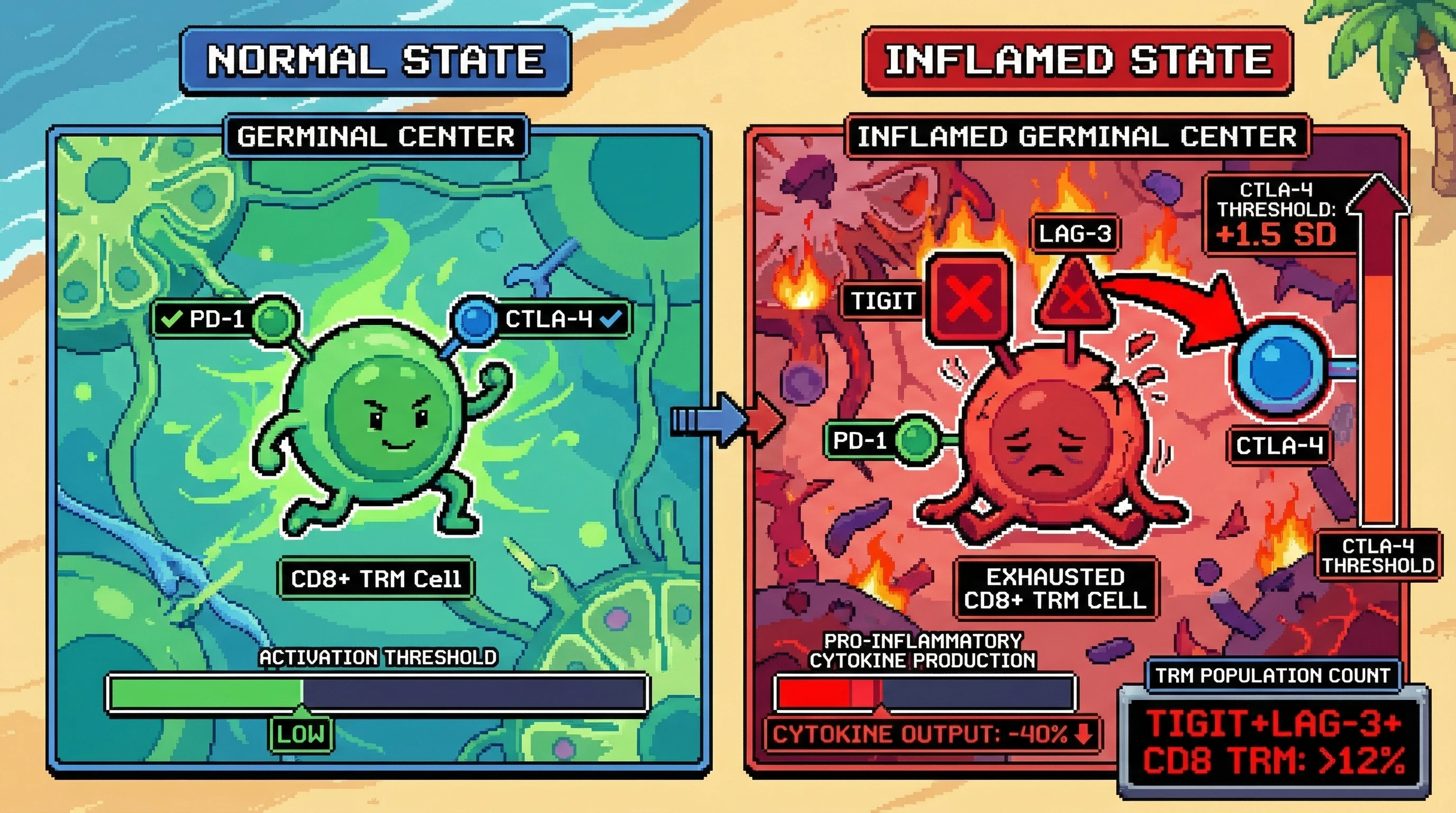 Infographic for: PD-1+ CD8 TRM TIGIT/LAG-3 Co-receptor Dynamics in Immunoregulatory Germinal Center Microenvironments