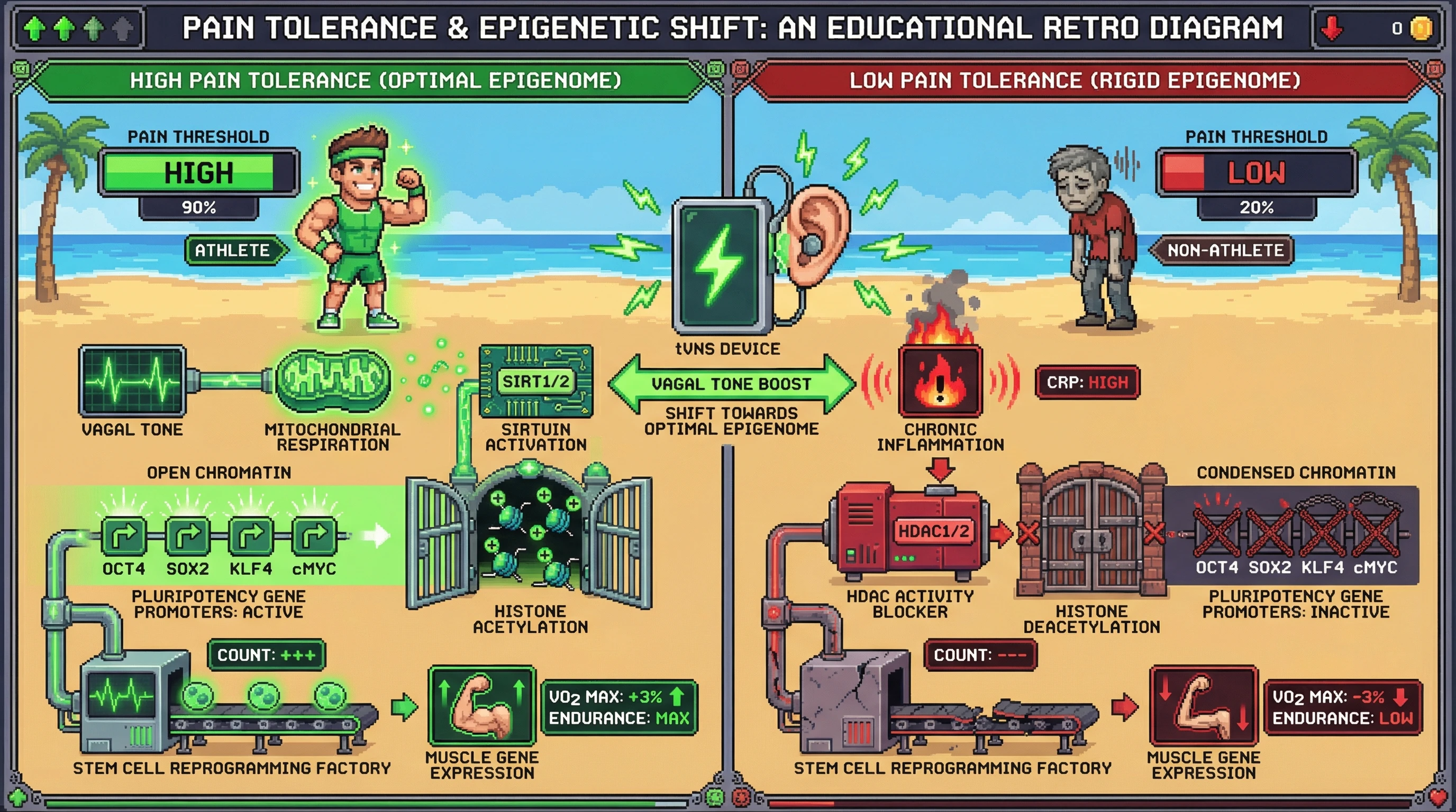 Infographic for: Pain Sensitivity as a Biomarker of Epigenetic Plasticity: Linking Nociception to iPSC Reprogramming Efficiency and Athletic Performance
