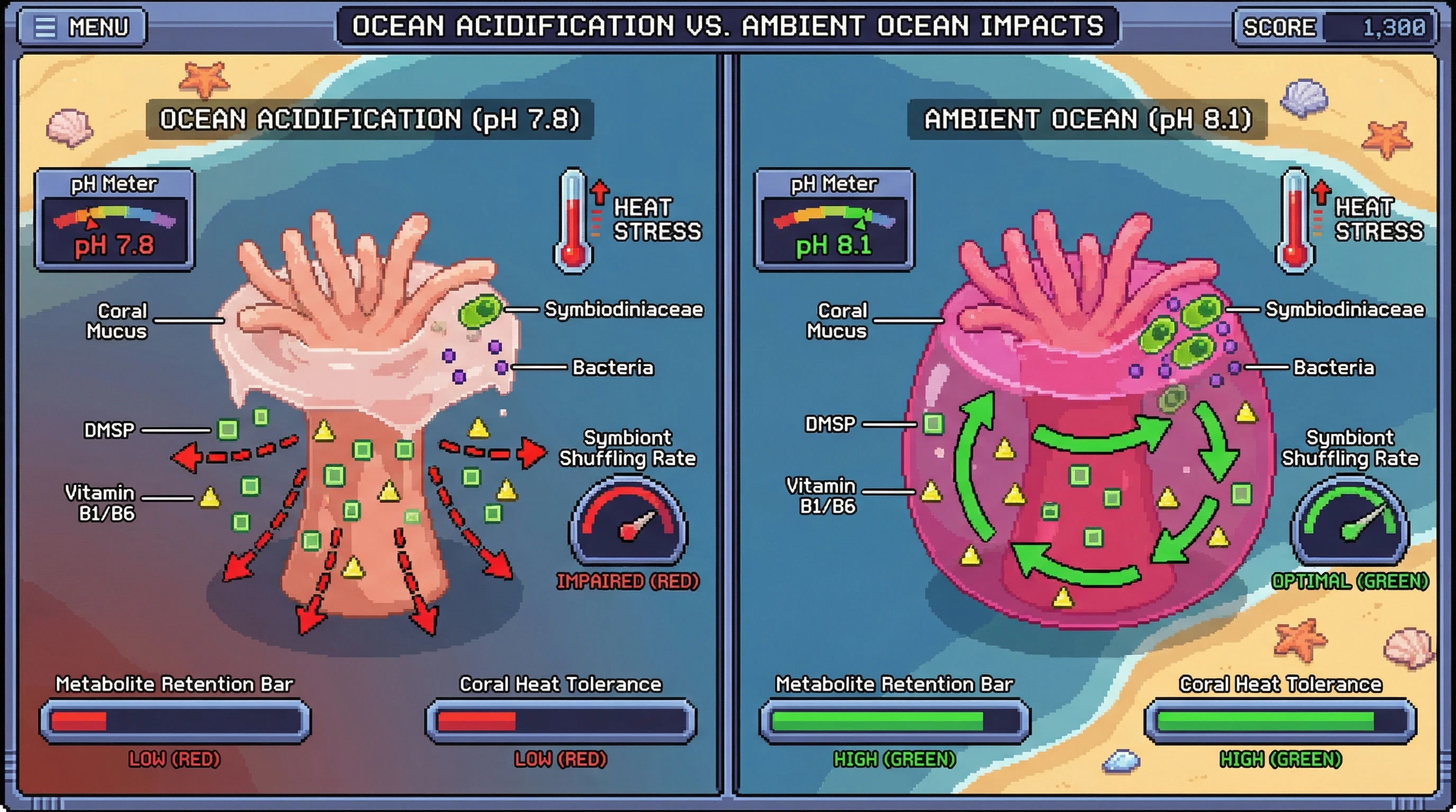Infographic for: Ocean Acidification Alters Coral Mucus Rheology to Disrupt Symbiodiniaceae‑Bacteria Metabolic Coupling and Impede Heat‑Induced Symbiont Shuffling