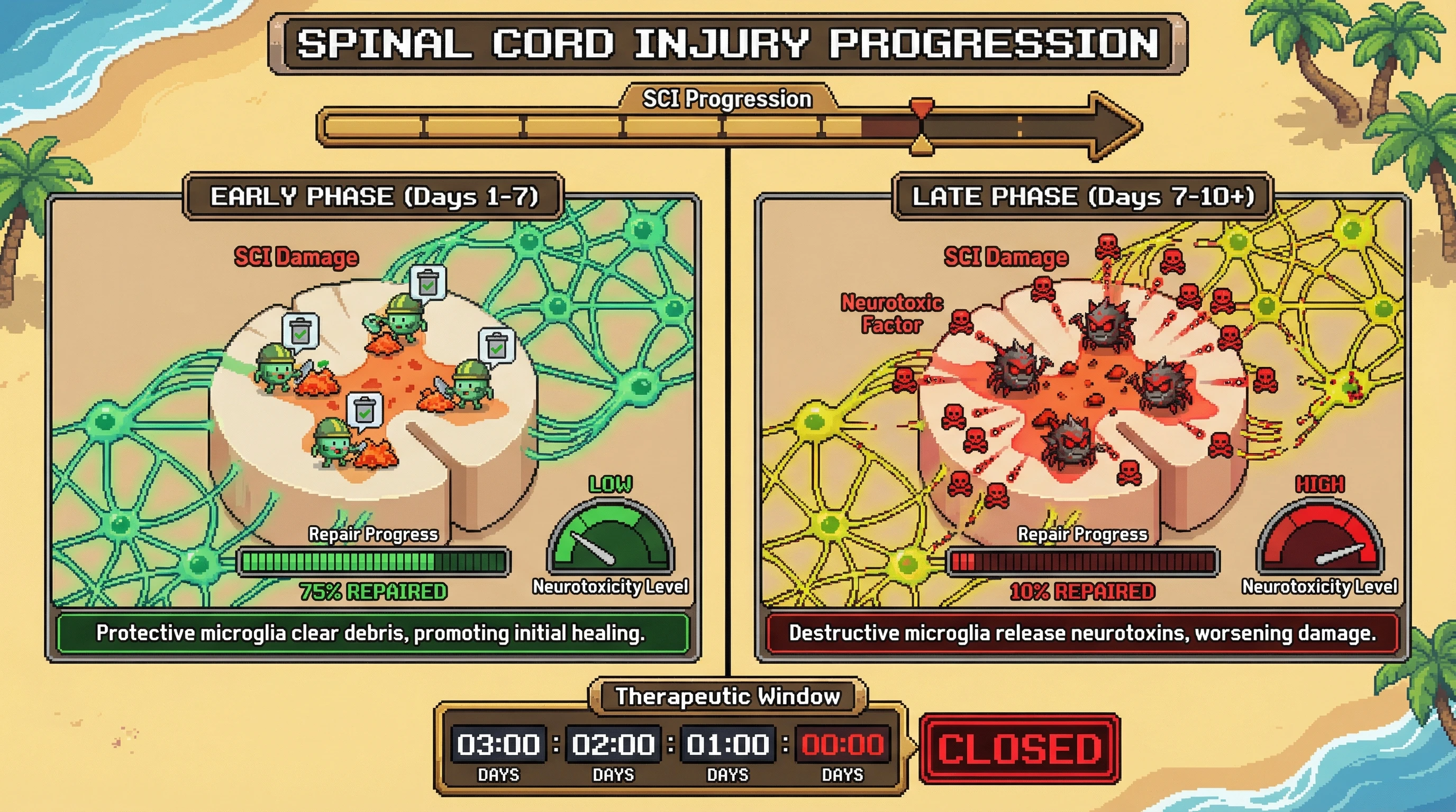 Infographic for: Microglia Shift From Protective to Destructive Around 7-10 Days Post-SCI—Therapeutic Window Closes Fast