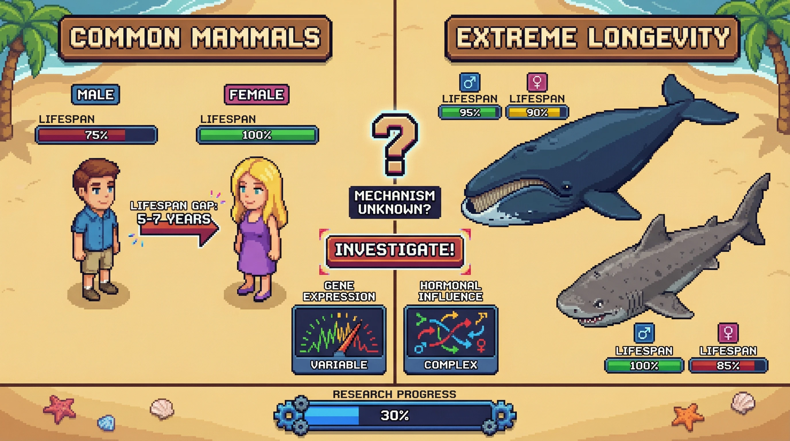 This infographic illustrates the general rule of female mammals outliving males and highlights the intriguing reversal or breakdown of this pattern in extremely long-lived species like bowhead whales and Greenland sharks, pointing to an unknown underlying biological mechanism.