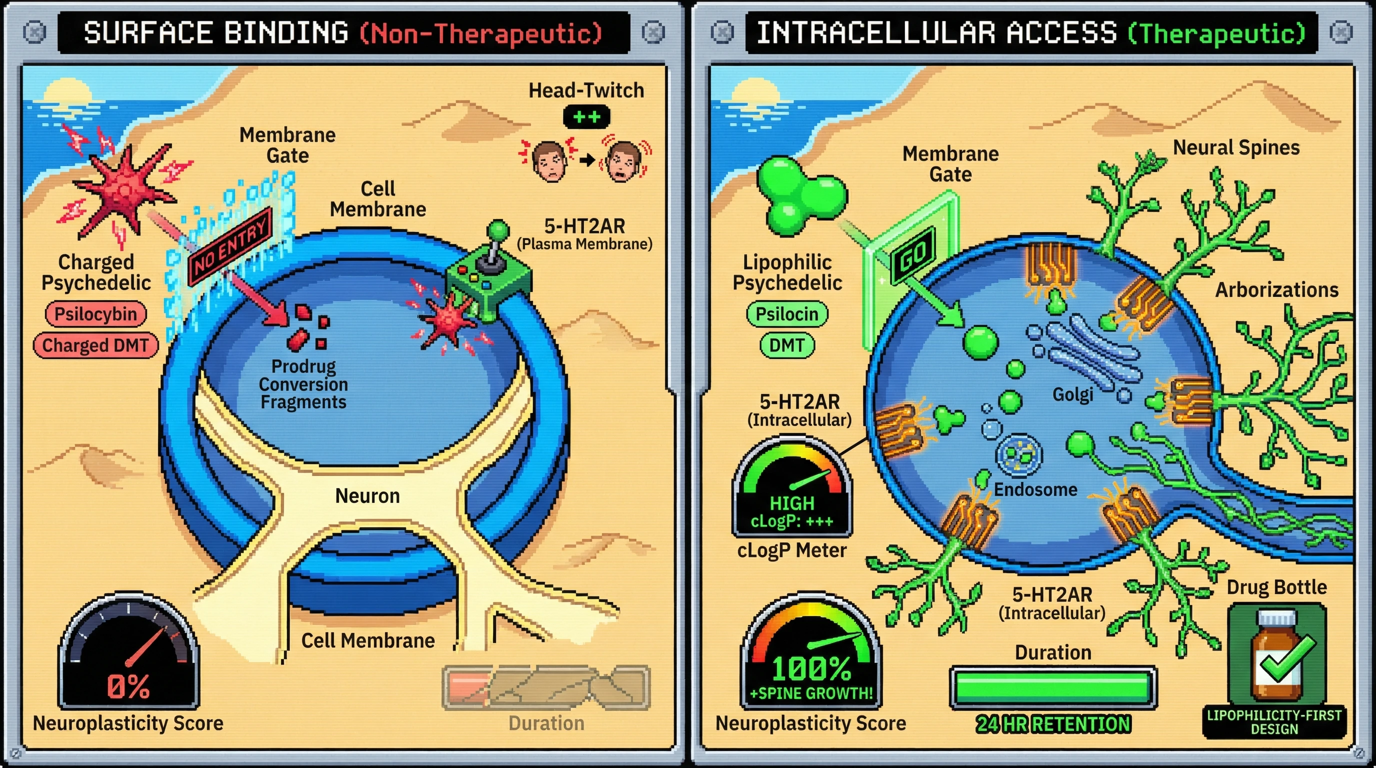 Infographic for: Membrane Permeability Determines Consciousness Access—Lipophilicity as the Gate to Neural Plasticity