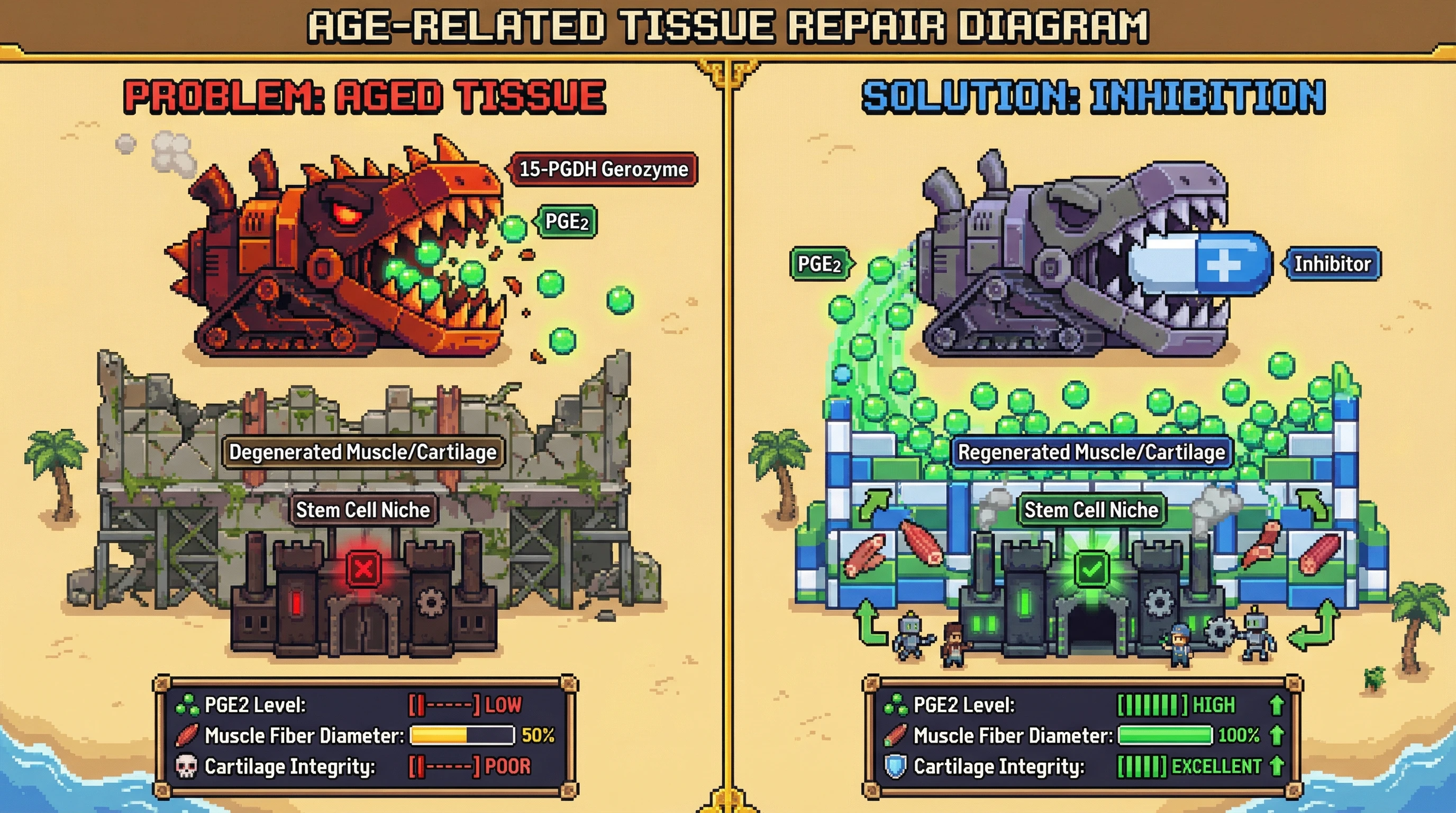 Infographic for: Hypothesis: 15-PGDH – The Real Gerozyme We Can Drug