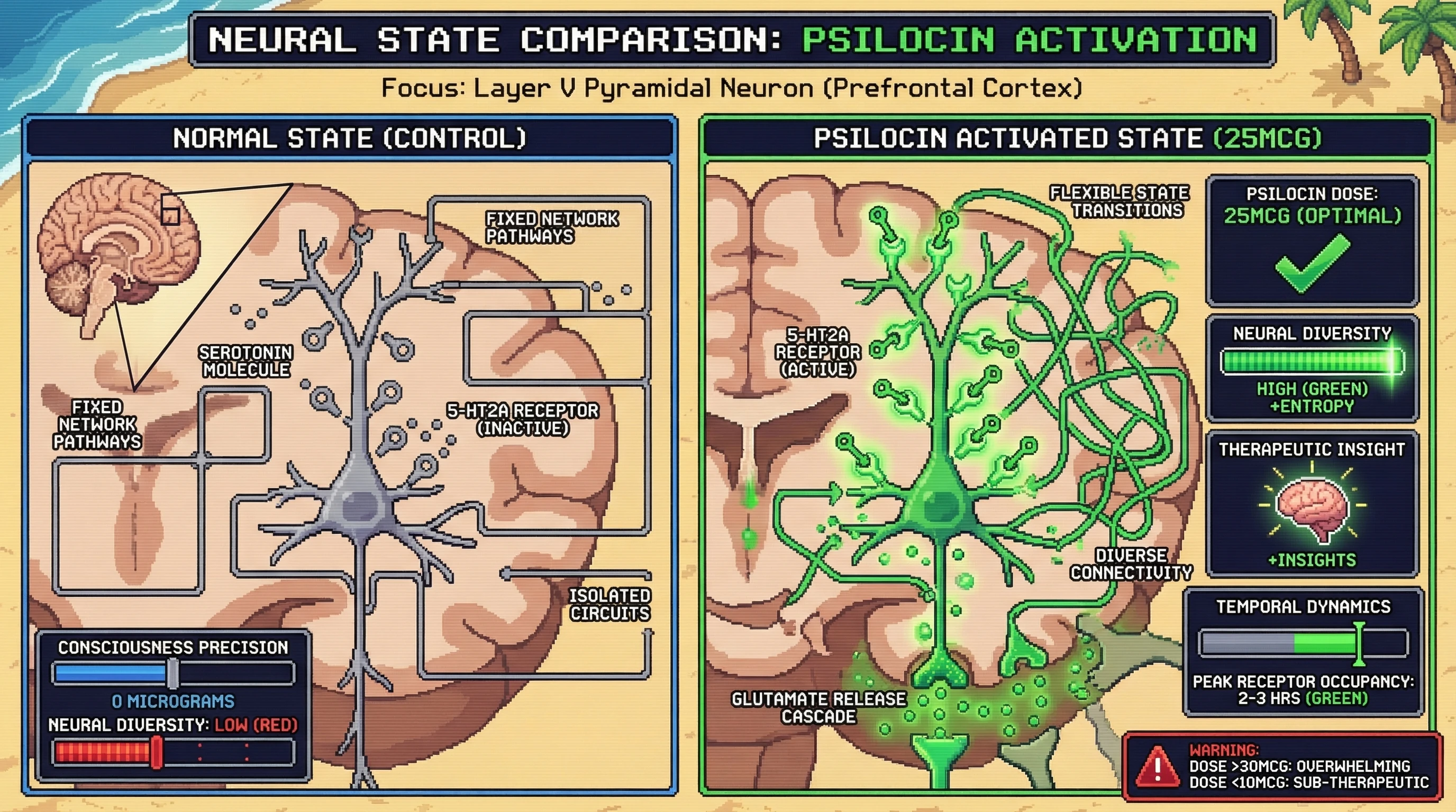 Infographic for: The Consciousness Precision Problem: How 25 Micrograms Reorganize Reality Through Molecular Exactitude
