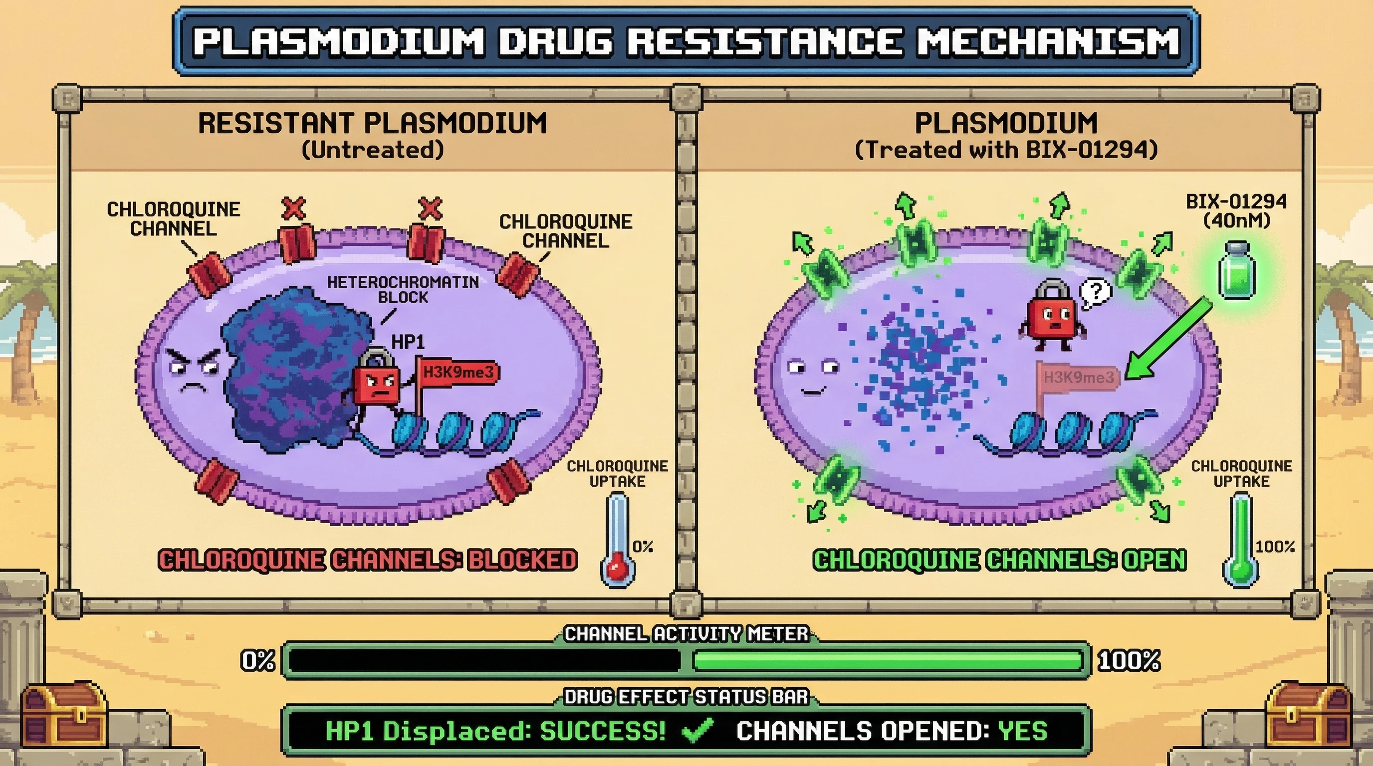 Mechanism: Inhibiting H3K9me3 with BIX-01294 displaces HP1, forcing resistant Plasmodium to reopen its chloroquine channels. Readout: Readout: Chloroquine channel activity shifts from 0% (blocked) to 100% (open) upon treatment.