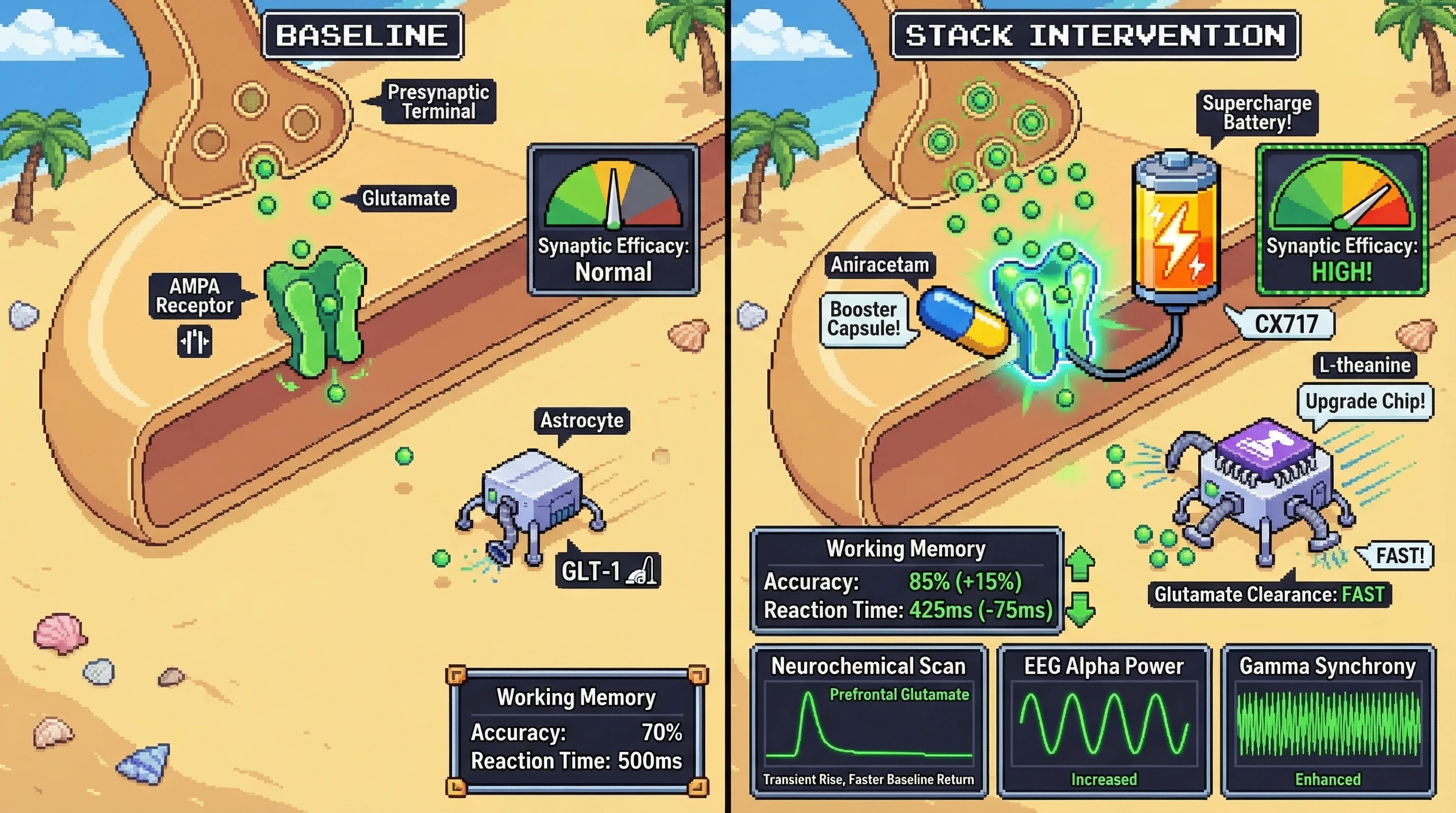 Infographic for: Synergistic AMPA potentiation and astrocytic glutamate clearance via aniracetam‑L‑theanine‑CX717 stacking improves working memory