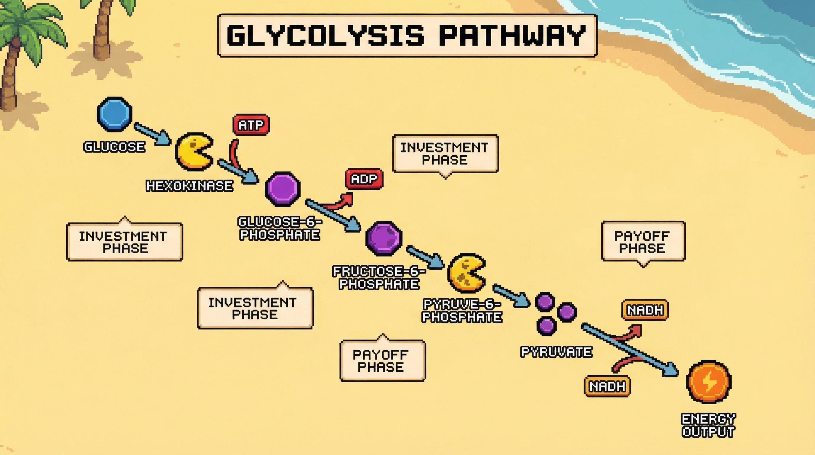 Infographic for: Combining Whoop's AI Coaching with Oura's Holistic Scoring Enhances Slow-Wave Sleep via HPA Axis Modulation