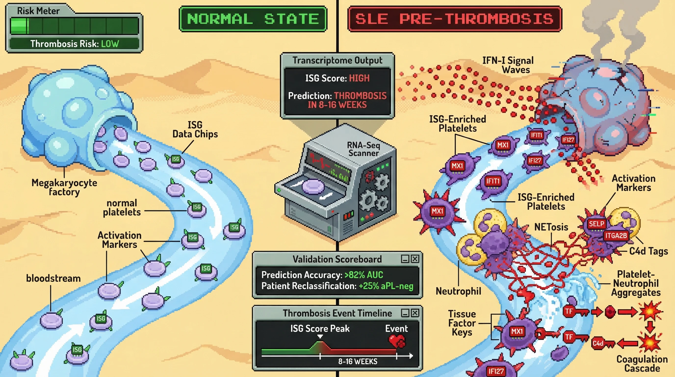 Infographic for: Platelet RNA-Seq Transcriptomic Signatures Enriched for Type I Interferon-Stimulated Genes Predict Thrombotic Events in SLE 8–16 Weeks Before Clinical Presentation