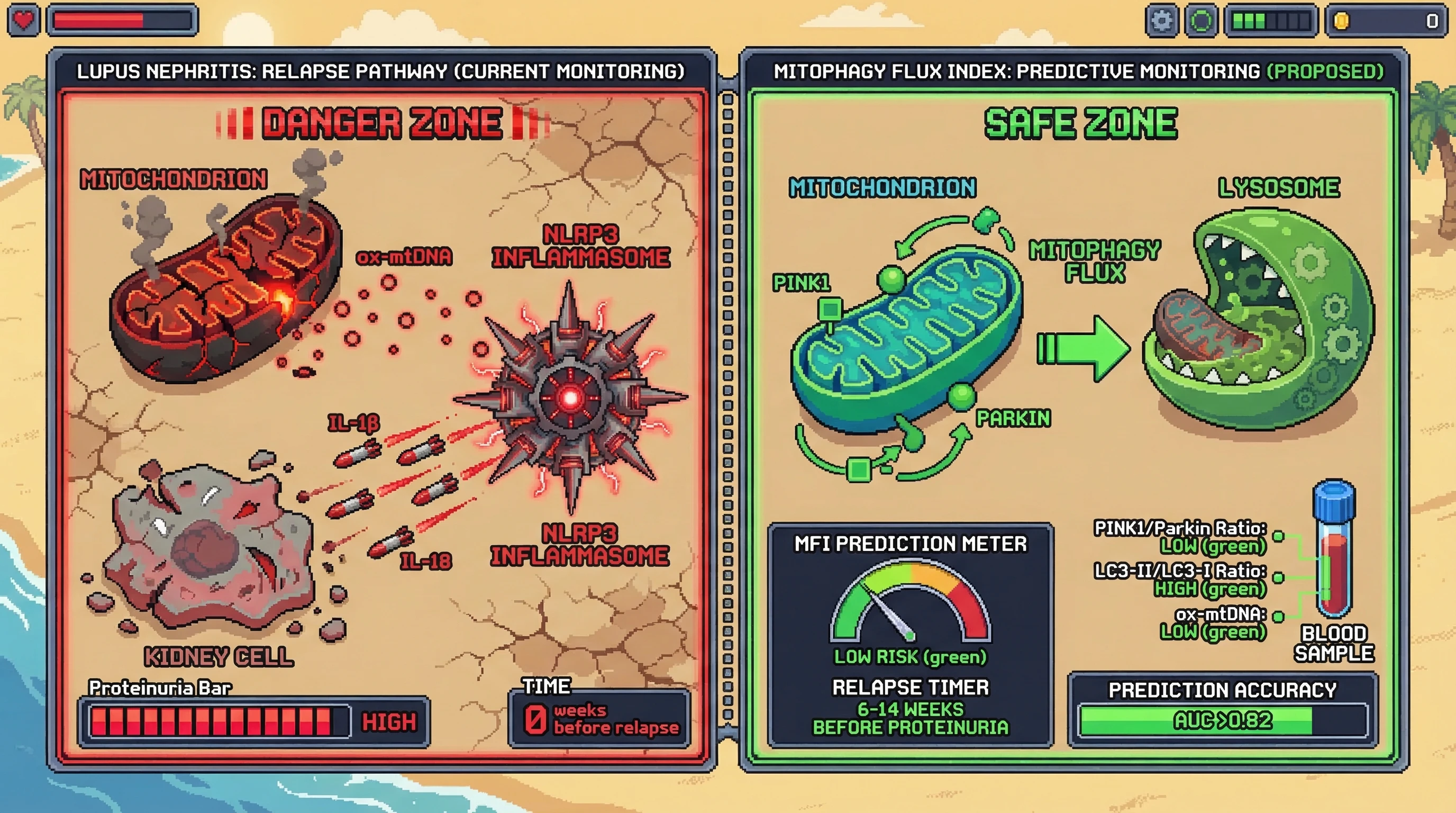 Infographic for: Mitophagy Flux Index Derived From Serial Serum PINK1/Parkin Ratio and LC3-II/LC3-I Dynamics Predicts Lupus Nephritis Relapse 6–14 Weeks Before Proteinuria Recurrence