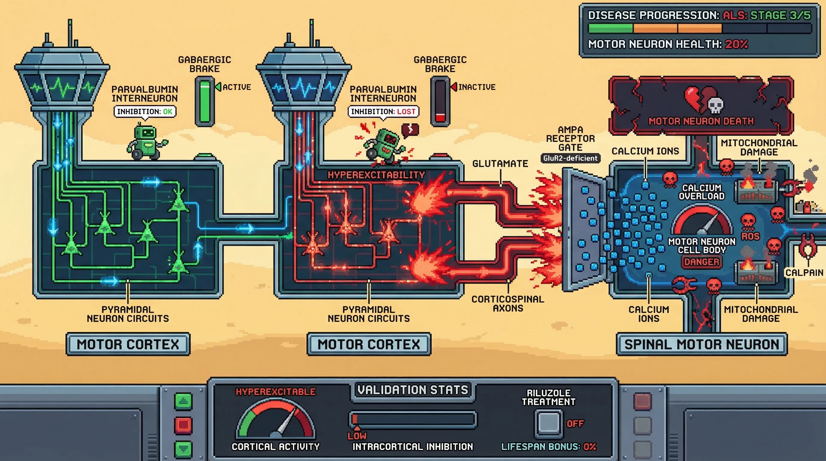Infographic for:  Cortical Hyperexcitability On Amyotrophic Lateral Sclerosis and Frontotemporal Dementia.