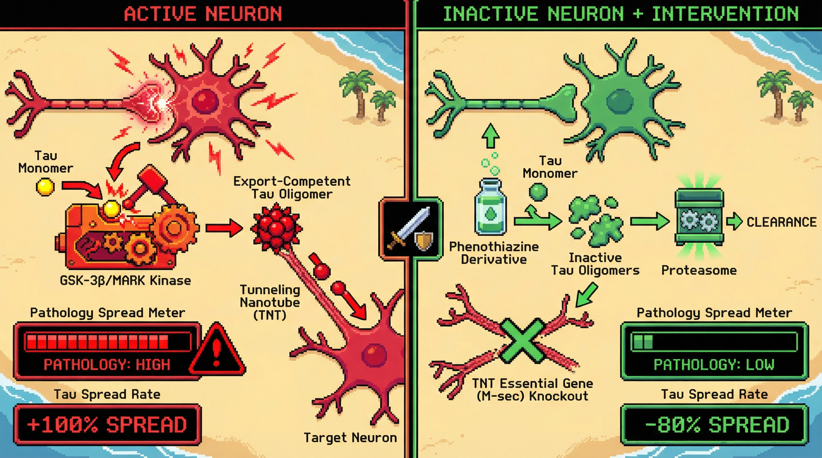 Infographic for: Activity‑Dependent Conformational Selection Governs Tau Strain Export via Tunneling Nanotubes