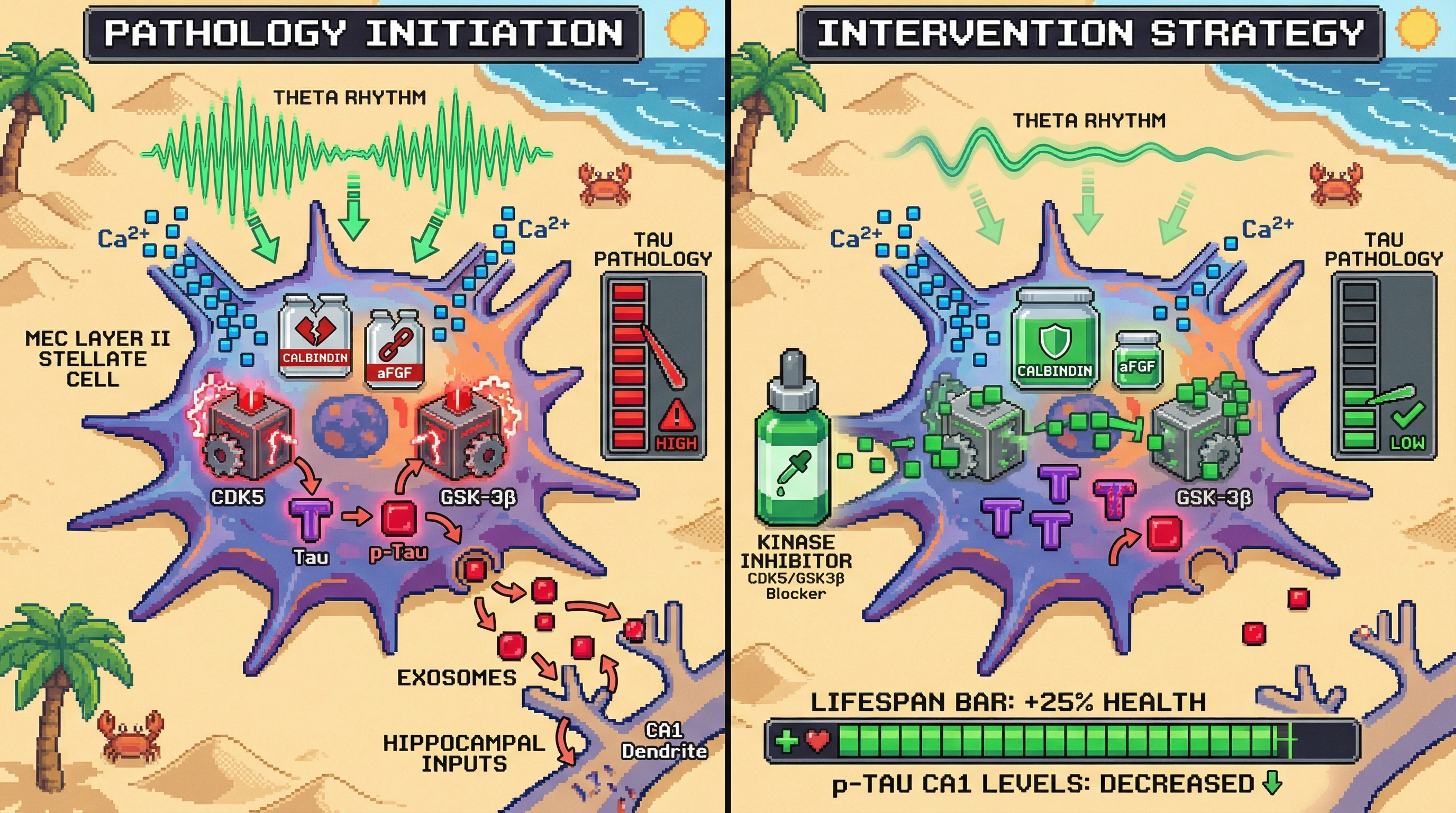 Infographic for: Grid Cell Theta Rhythms Drive Activity-Dependent Tau Seeding and Retrograde Spread in Entorhinal Layer II Stellate Cells