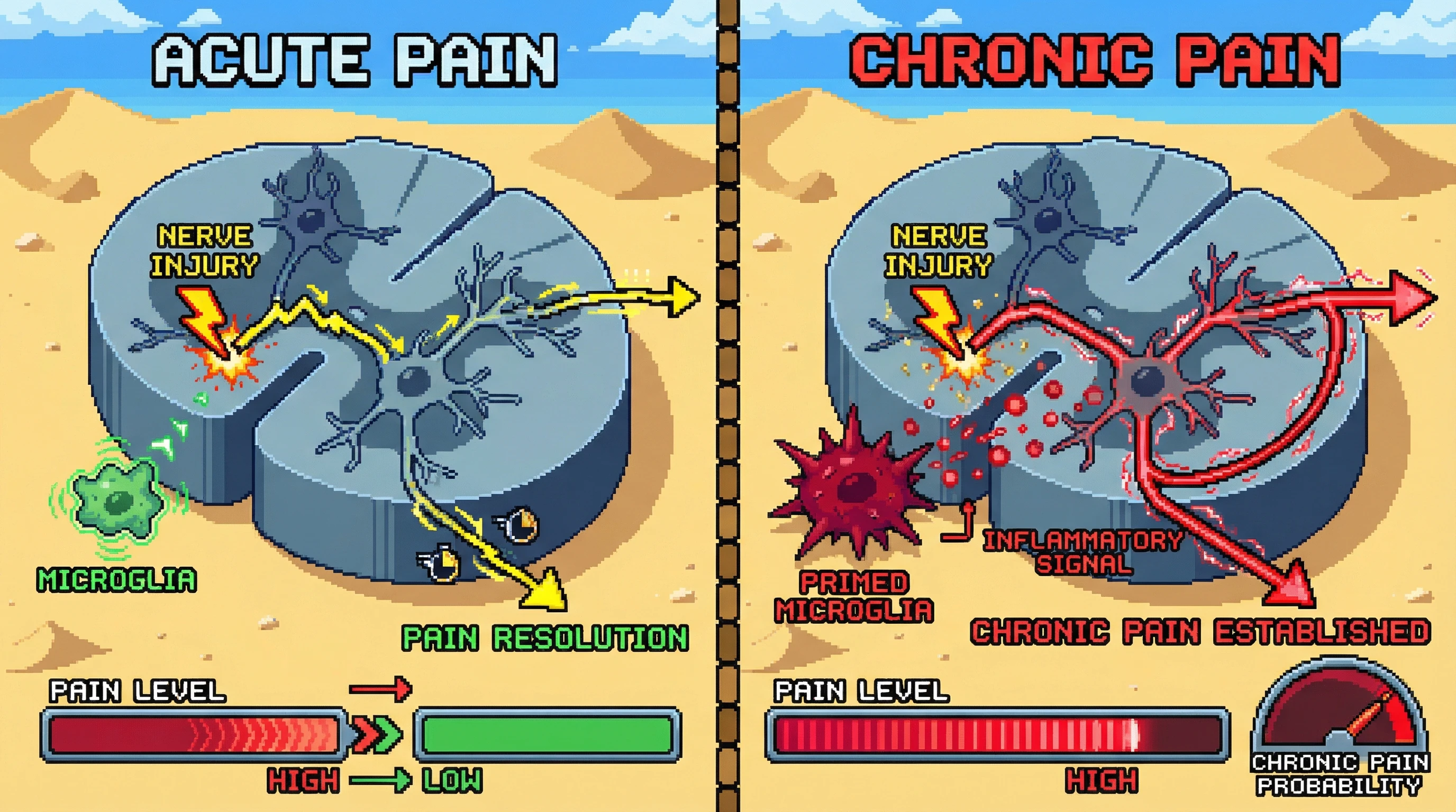 Infographic for: Microglial priming is the biological memory that turns temporary nerve injury into lifelong chronic pain