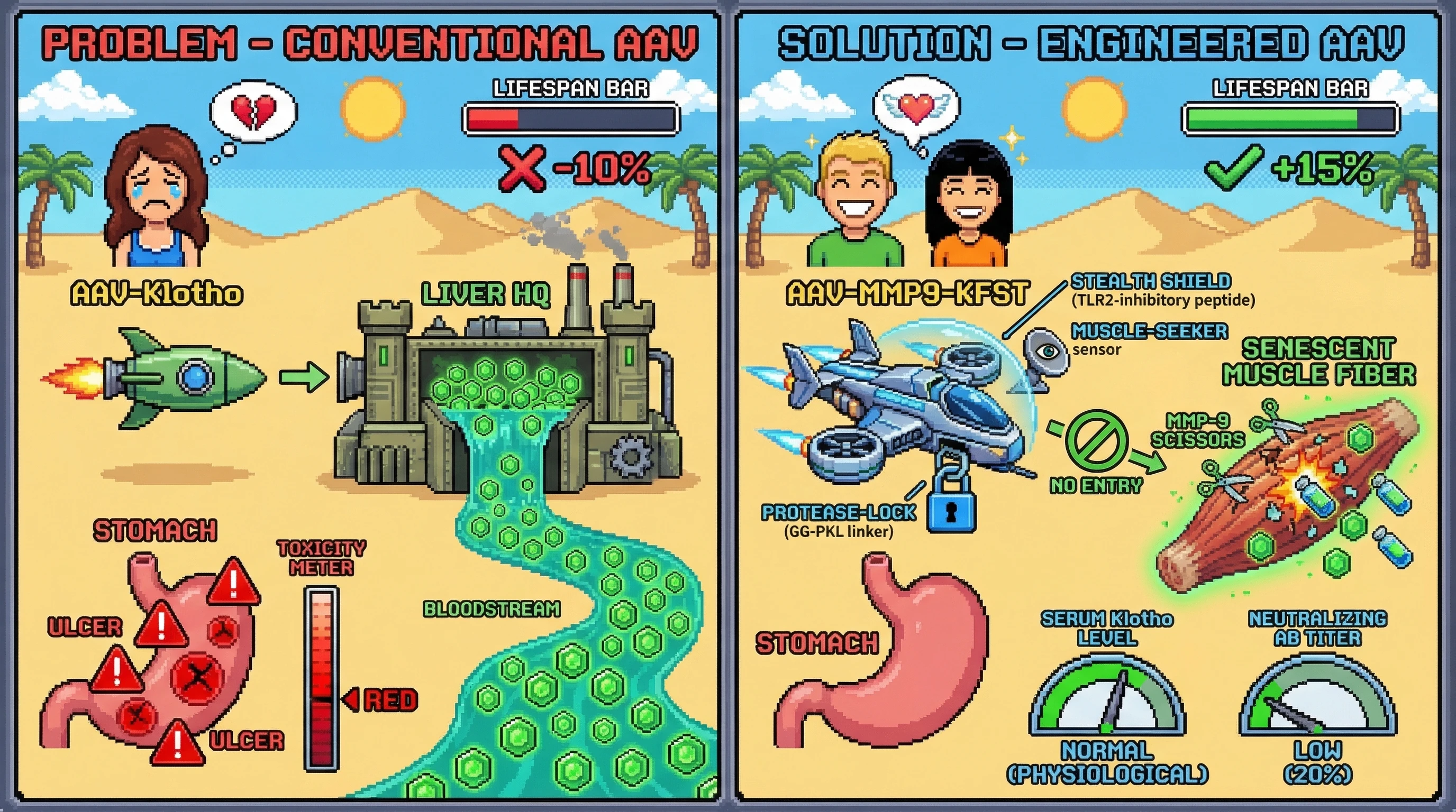 Infographic for: Protease-Activated Liver-Detargeted AAV Capsid for Sex-Neutral Longevity Therapy via Muscle-Specific Klotho/Follistatin Co-delivery
