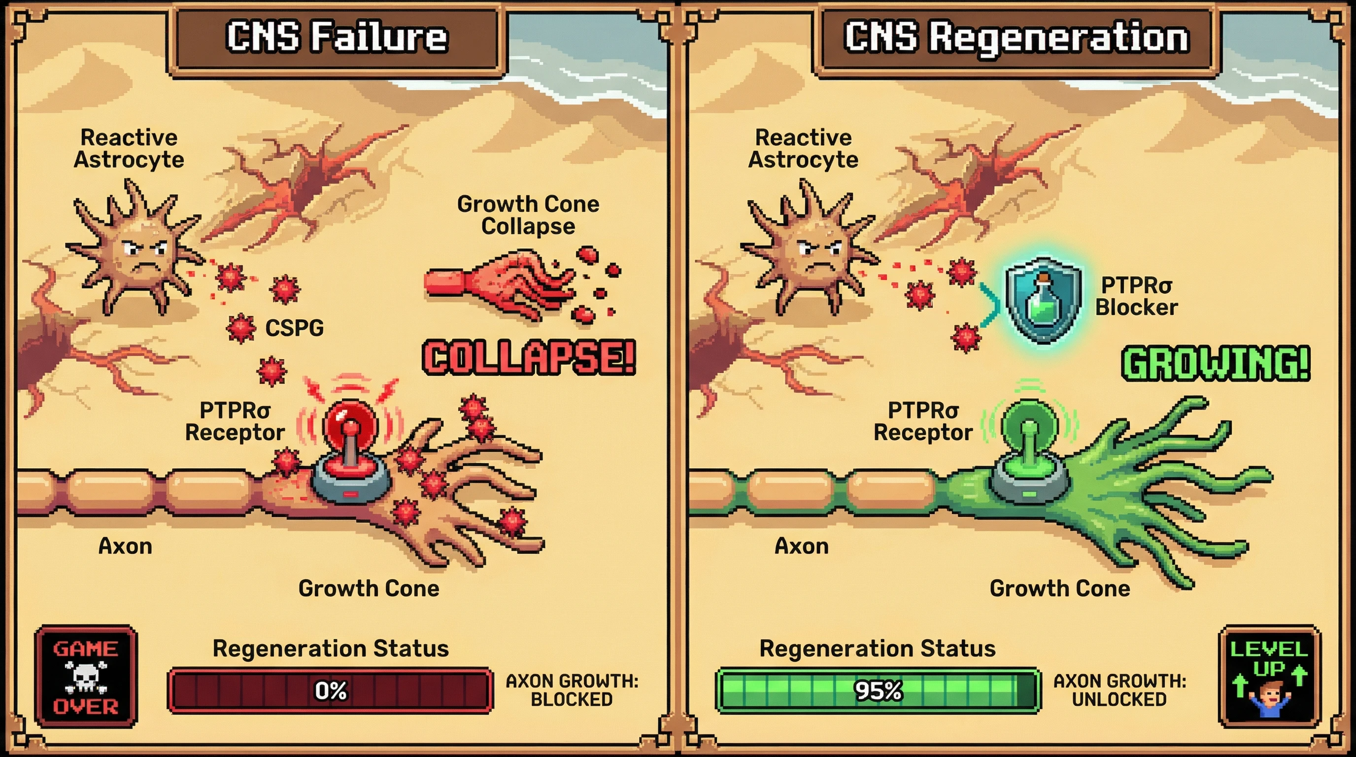 Infographic for: PTPRσ is the convergence point for CNS regeneration failure—blocking this receptor unlocks axon growth after spinal cord injury