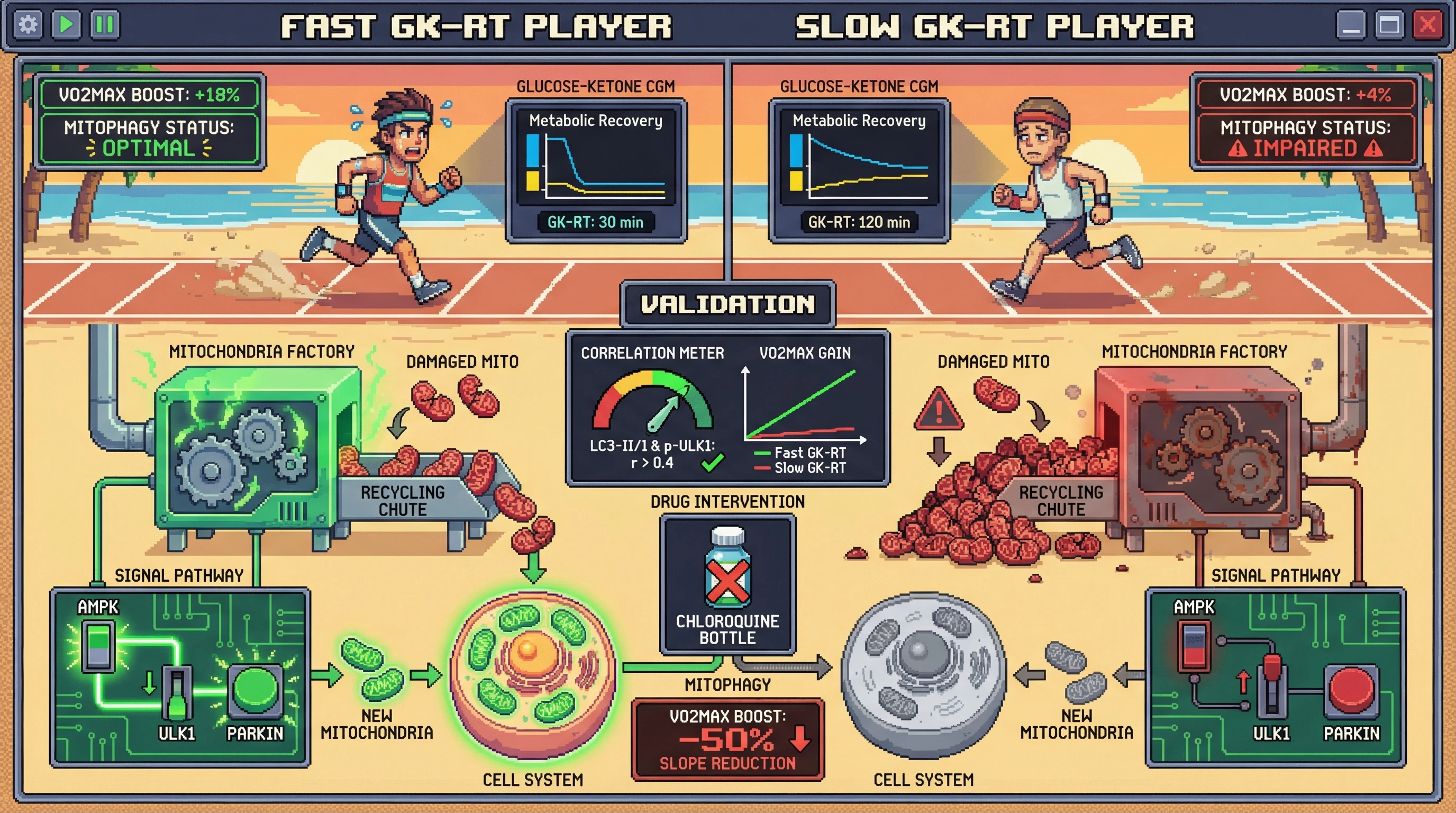 Infographic for: Integrated Glucose-Ketone Recovery Kinetics After Mixed Macronutrient Stress Predicts Training-Induced VO₂max Improvements via Mitochondrial Autophagy