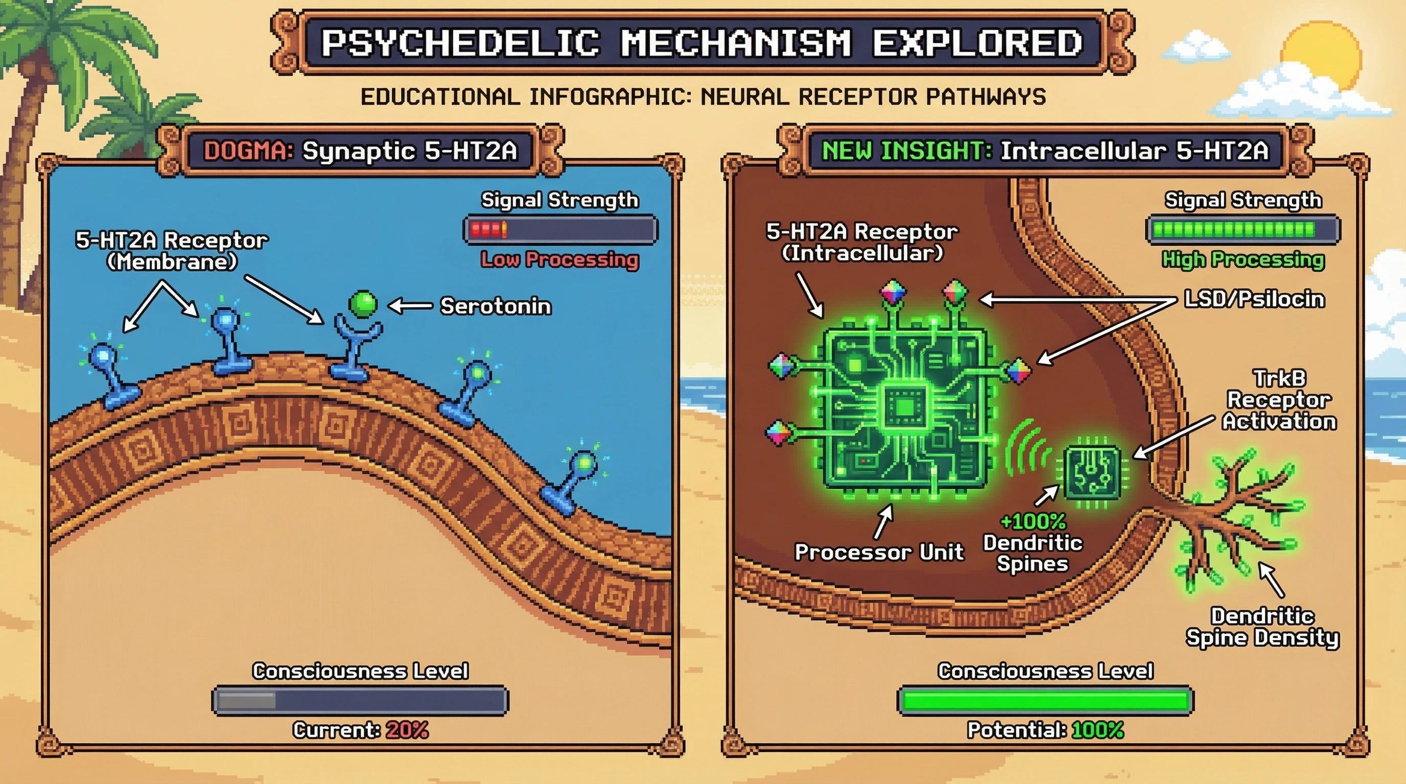 Infographic for: Intracellular 5-HT2A Receptors Are The True Consciousness Keys—Membrane-Bound Receptors Are Decoys