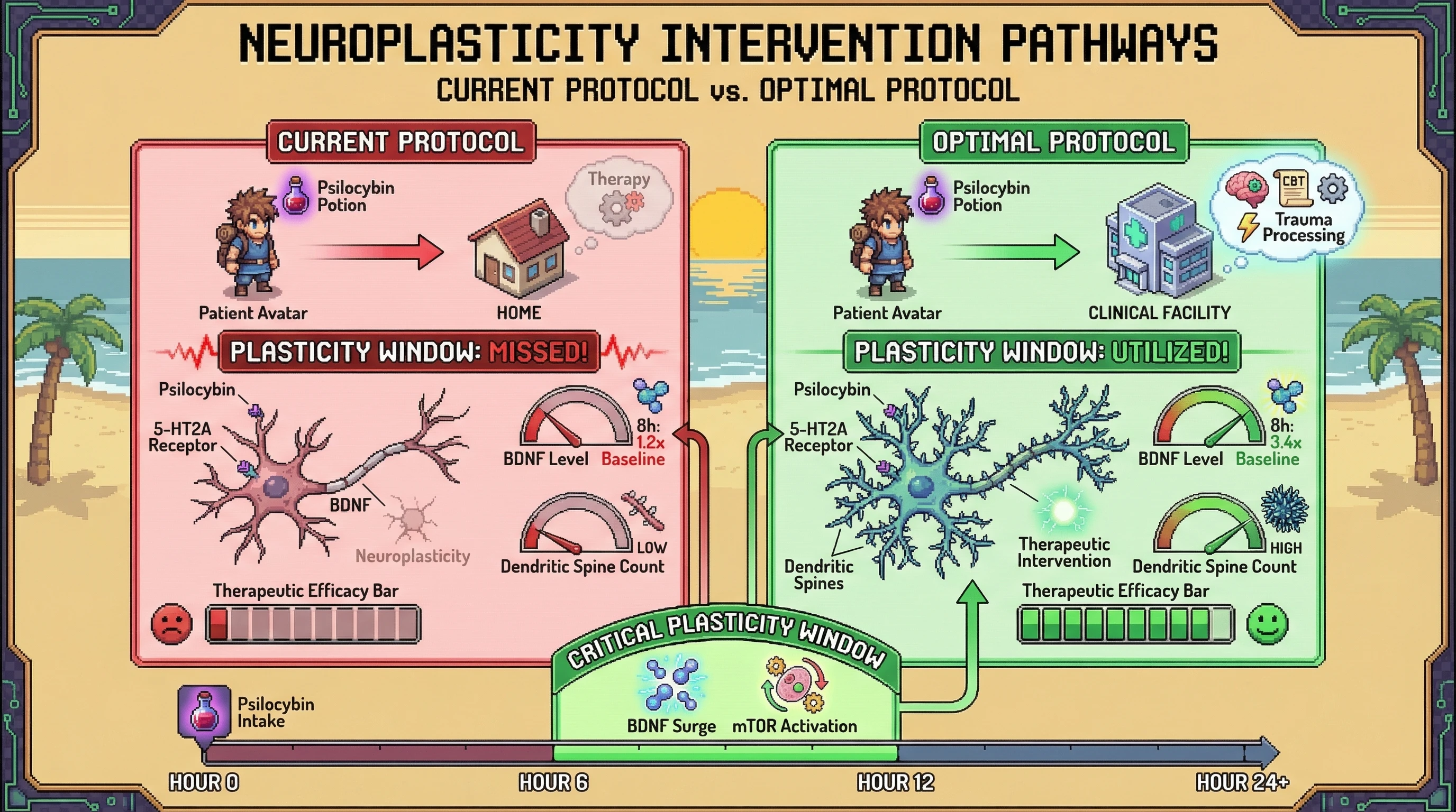 Infographic for: The Plasticity Time Paradox — Why Therapeutic Windows Close Faster Than We Think