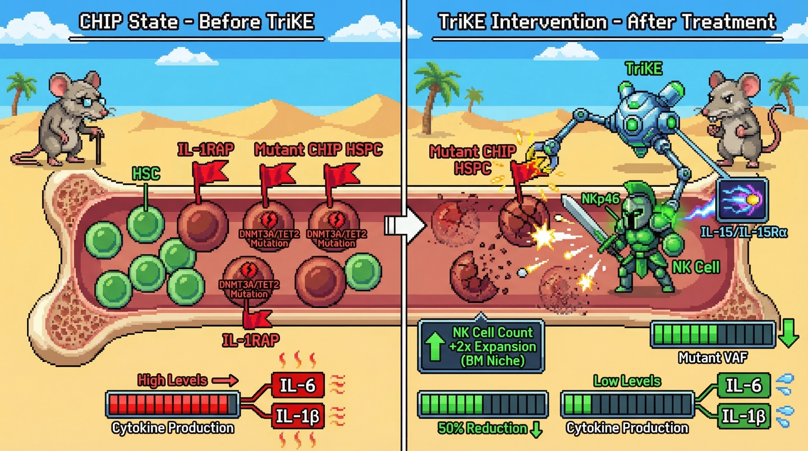 Infographic for: A trispecific NK cell engager targeting IL-1RAP (epigenetically derepressed on DNMT3A/TET2-mutant HSCs) × NKp46 × IL-...