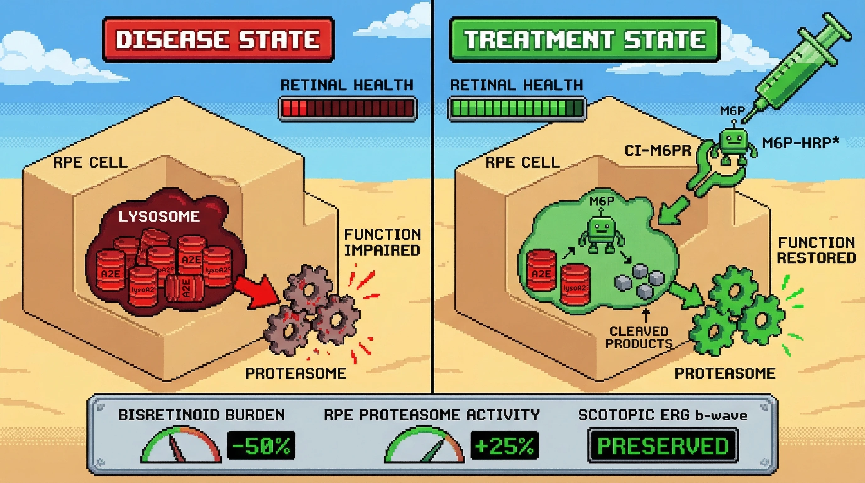 Infographic for: An M6P-glycopeptide-conjugated, directed-evolution-optimized HRP variant delivered intravitreally exploits the proven...