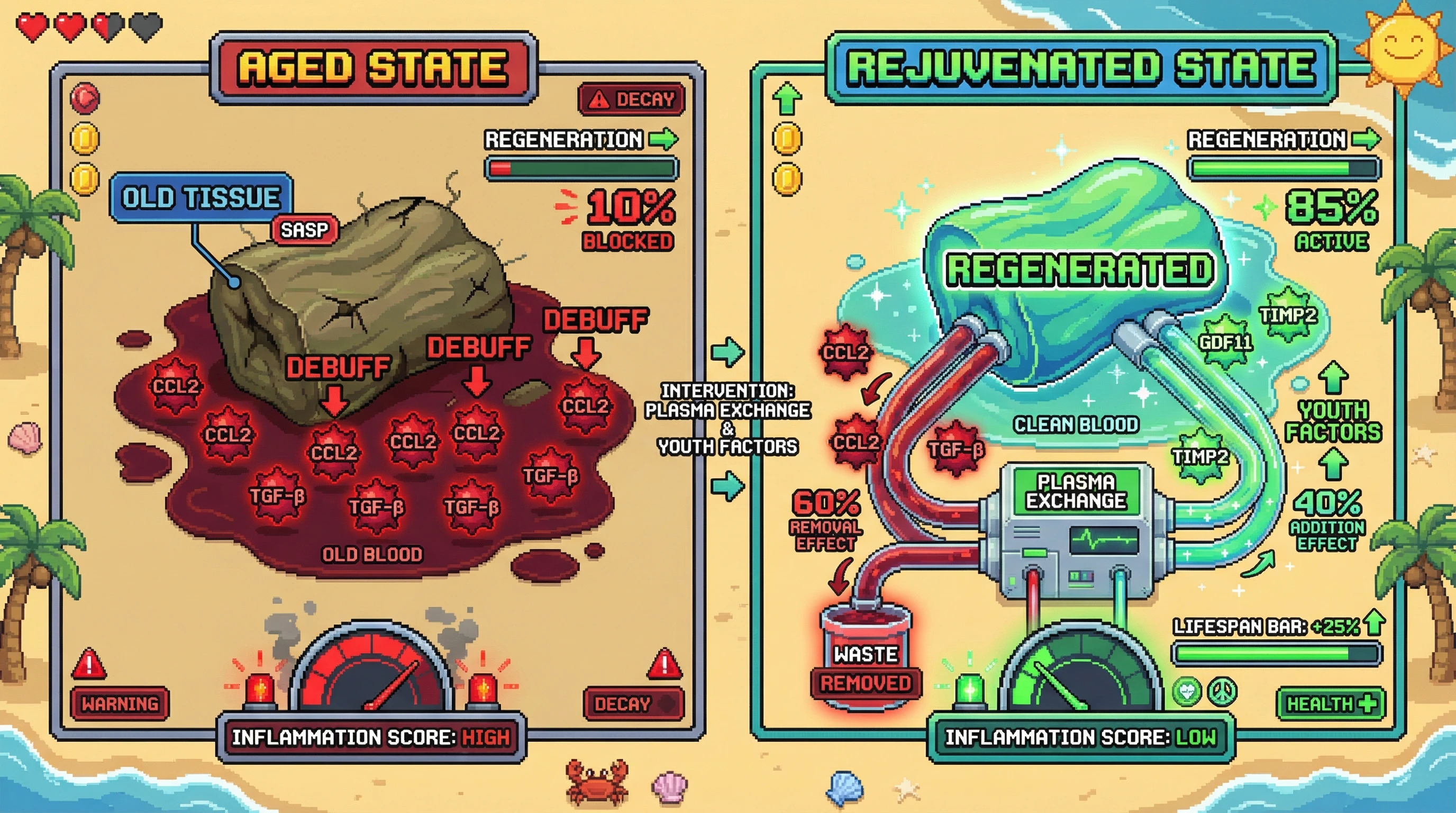 Infographic for: Heterochronic Parabiosis: Young Blood Factors vs. Old Blood Dilution