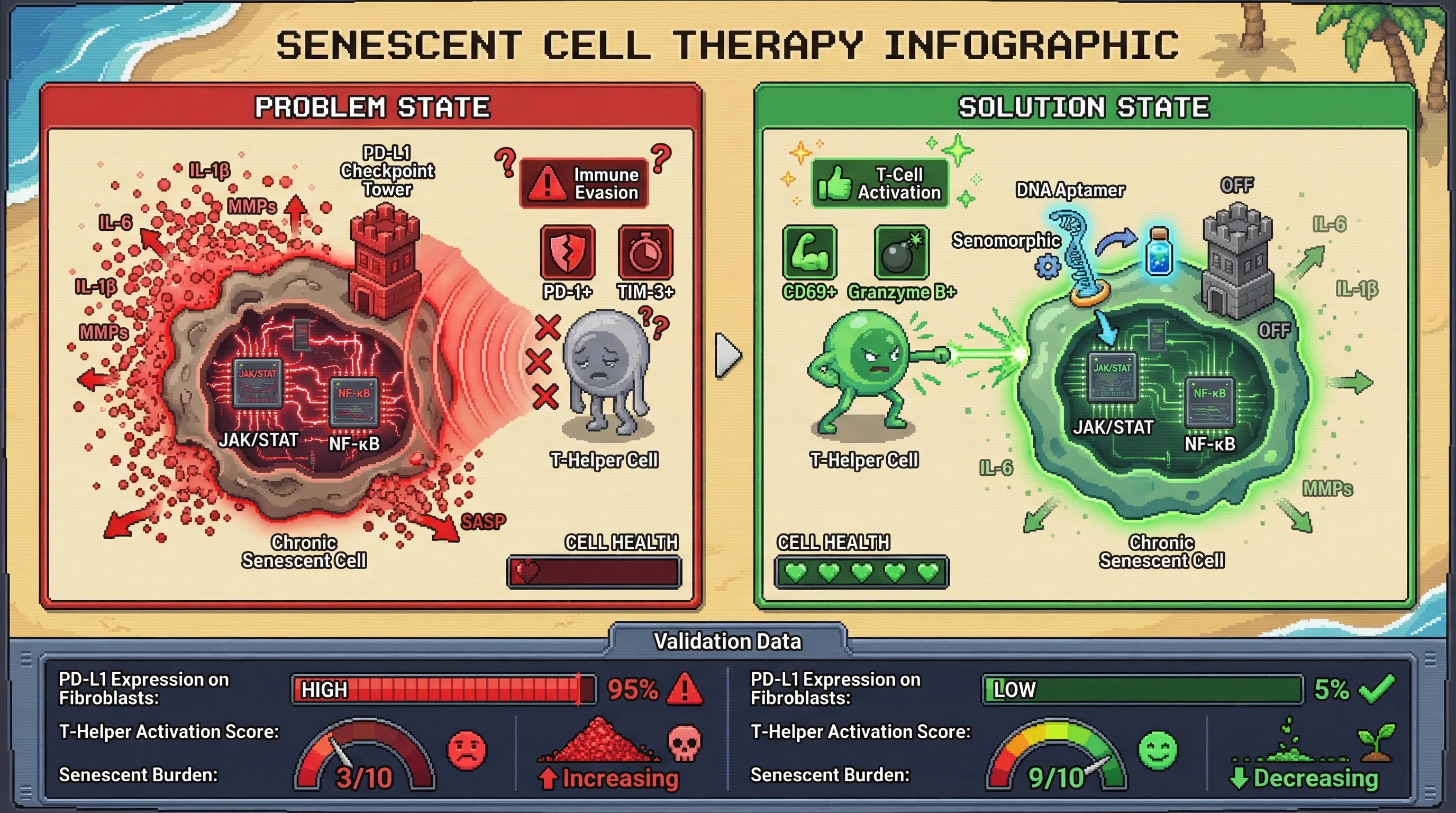 Mechanism: Aptamer-conjugated JAK inhibitors specifically target chronic senescent cells, reducing SASP factors and downregulating immune checkpoint ligands like PD-L1. Readout: Readout: This 'unmasks' senescent cells, restoring the activity of endogenous T-helper cells for natural clearance, leading to decreased senescent burden and increased T-cell activation markers.