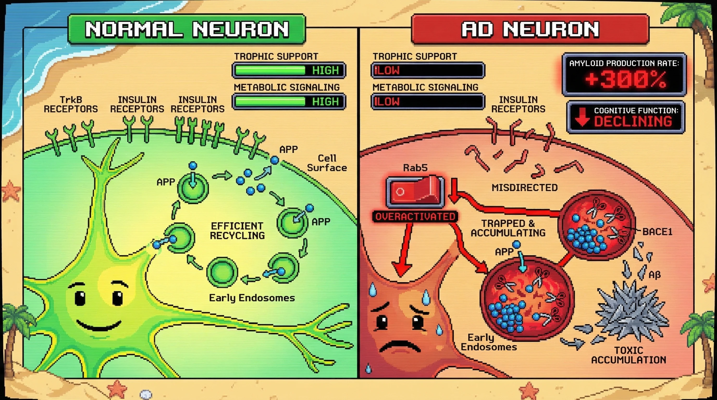 Infographic for:  Endosomal Trafficking In Alzheimer's Disease