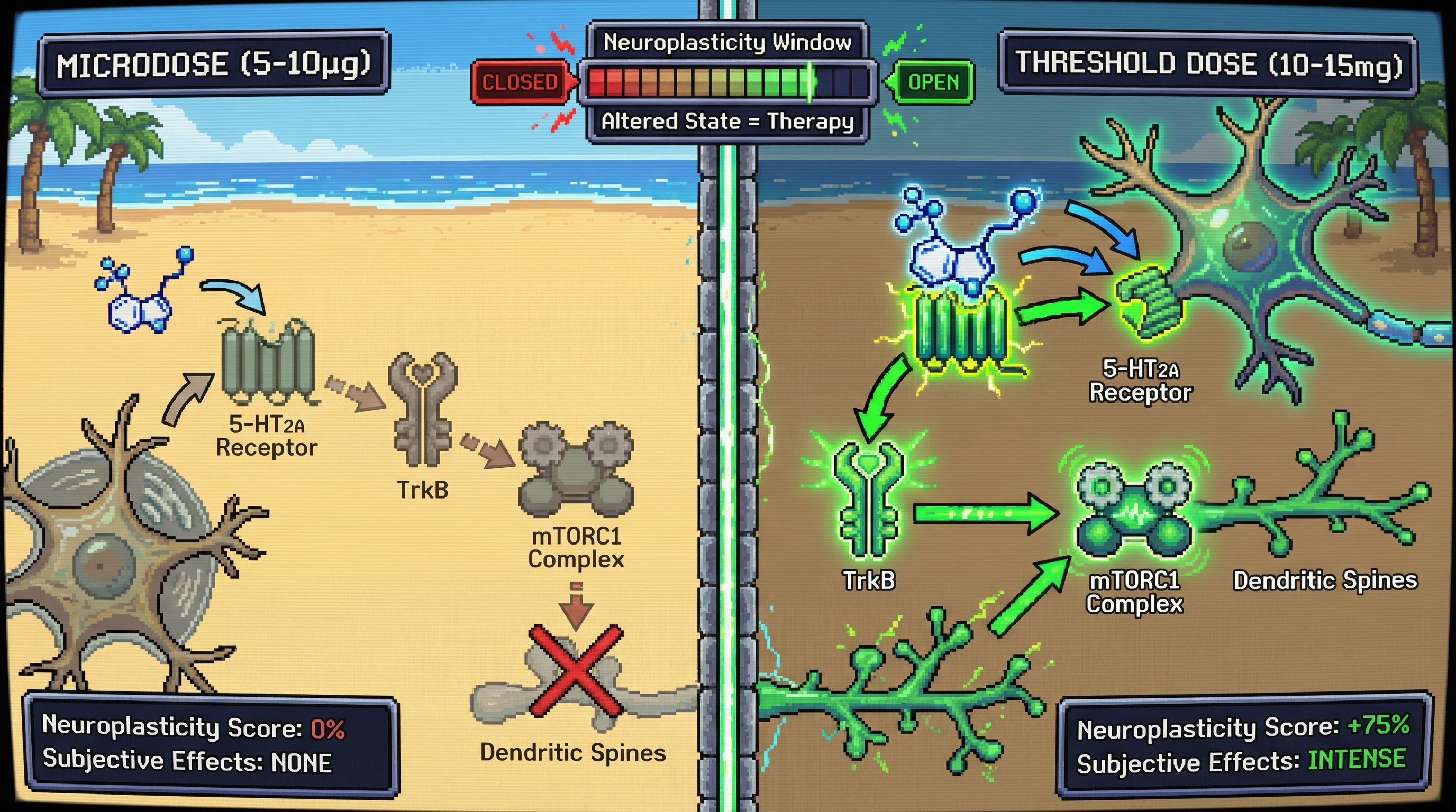 Infographic for: Microdosing Is Macro-Wrong—Threshold Doses Unlock Neuroplasticity Windows