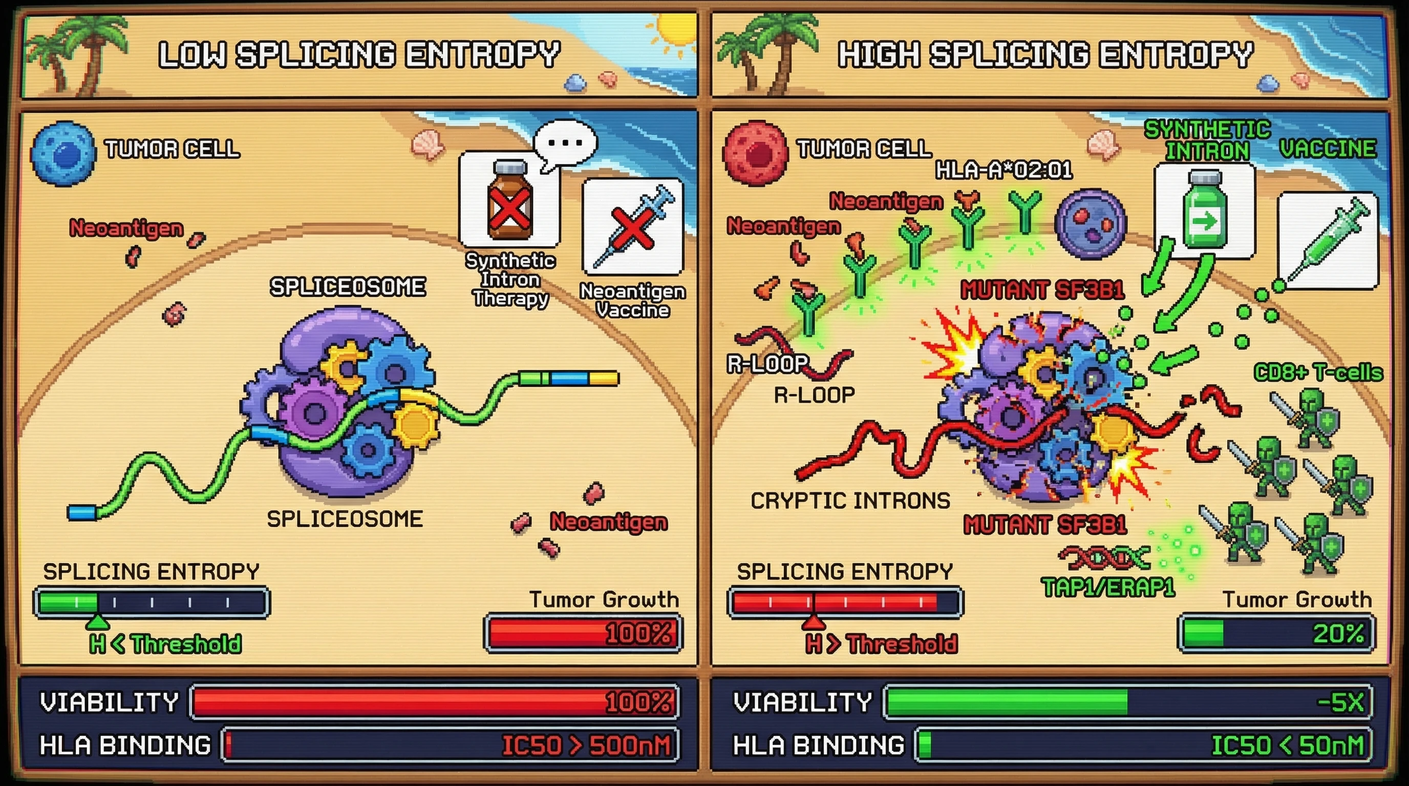 Infographic for: Splicing Entropy Threshold Determines Sensitivity to SF3B1-Targeted Synthetic Introns and Neoantigen Vaccine Response