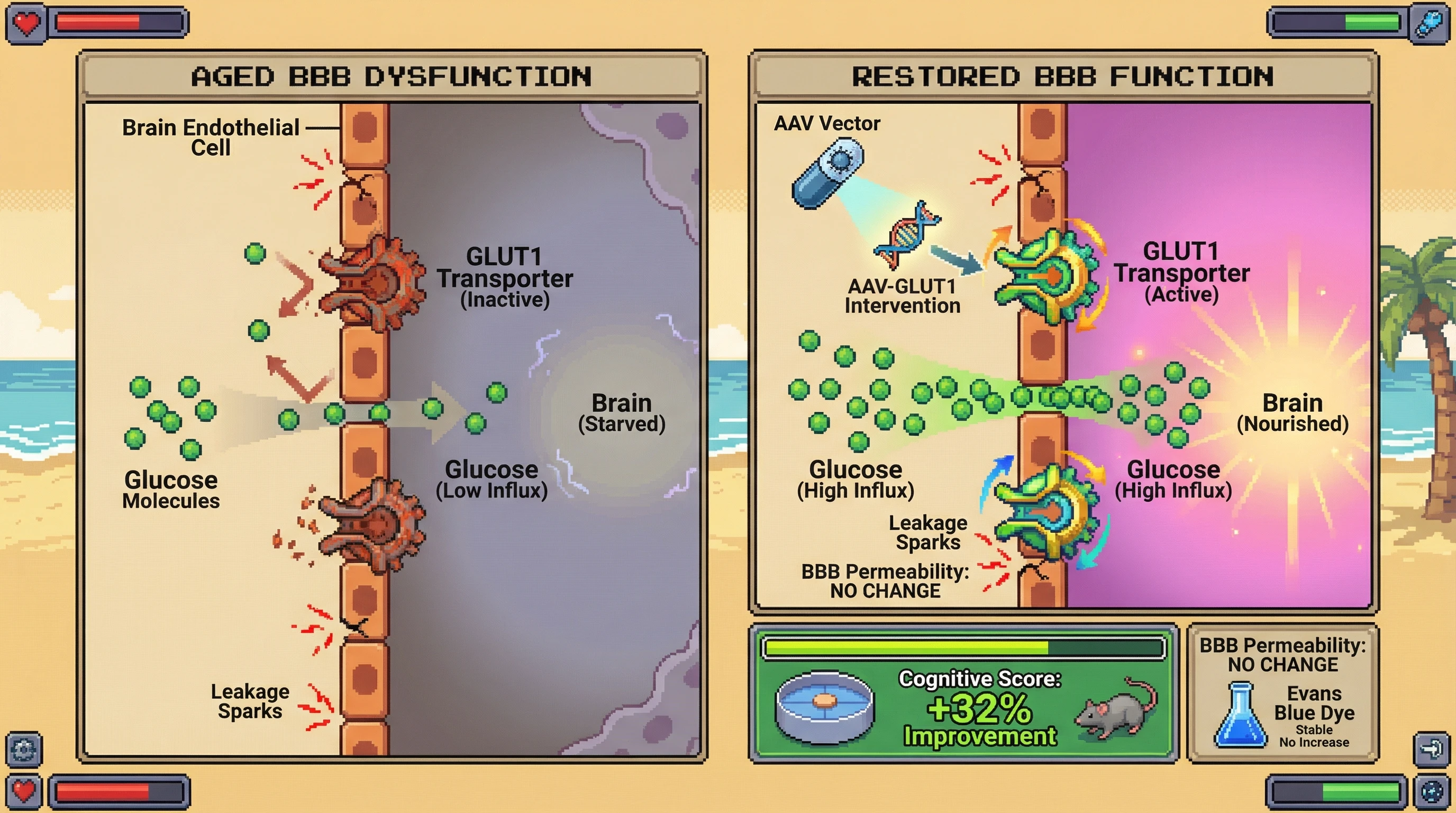 Infographic for: The Blood-Brain Barrier Isn't a Barrier — It's a Regulatory Interface, and Aging Turns It Into a Wall