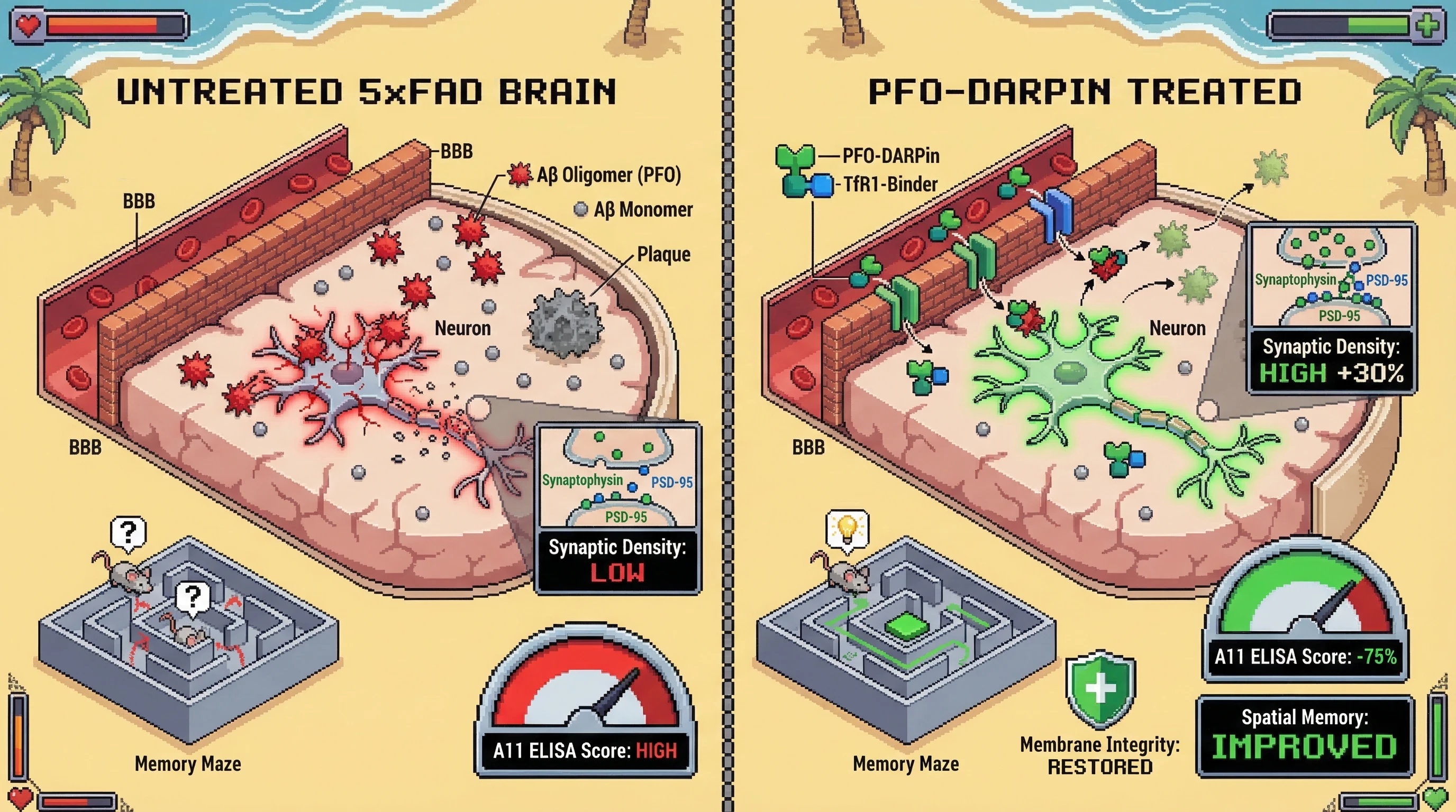Mechanism: A bispecific PFO-DARPin crosses the BBB to selectively clear toxic pore-forming Aβ oligomers, leaving monomers and plaques untouched. Readout: Readout: Aβ oligomer levels decrease by over 70%, neuronal membrane integrity is restored, synaptic density improves by 30%, and spatial memory is enhanced.