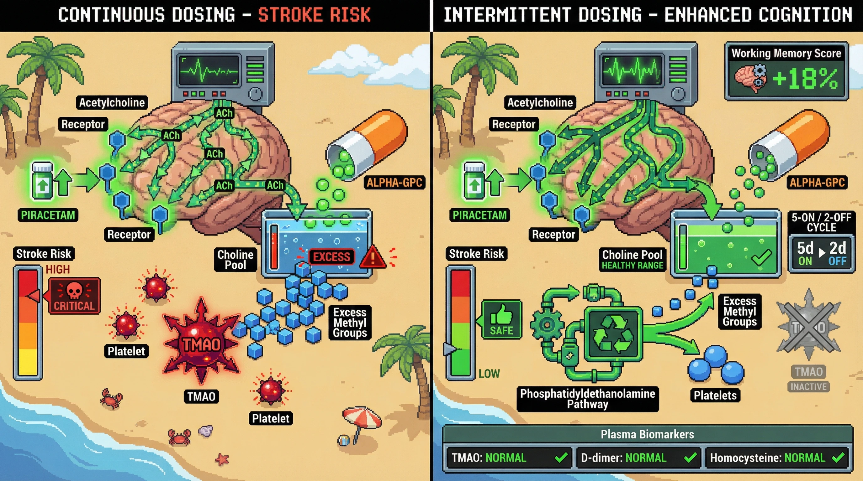 Mechanism: Intermittent alpha-GPC dosing optimizes choline levels, supporting acetylcholine synthesis while preventing excess methyl group accumulation and related pro-thrombotic signaling. Readout: Readout: Working memory accuracy improves by over 15% with no significant increase in plasma TMAO, D-dimer, or homocysteine levels.