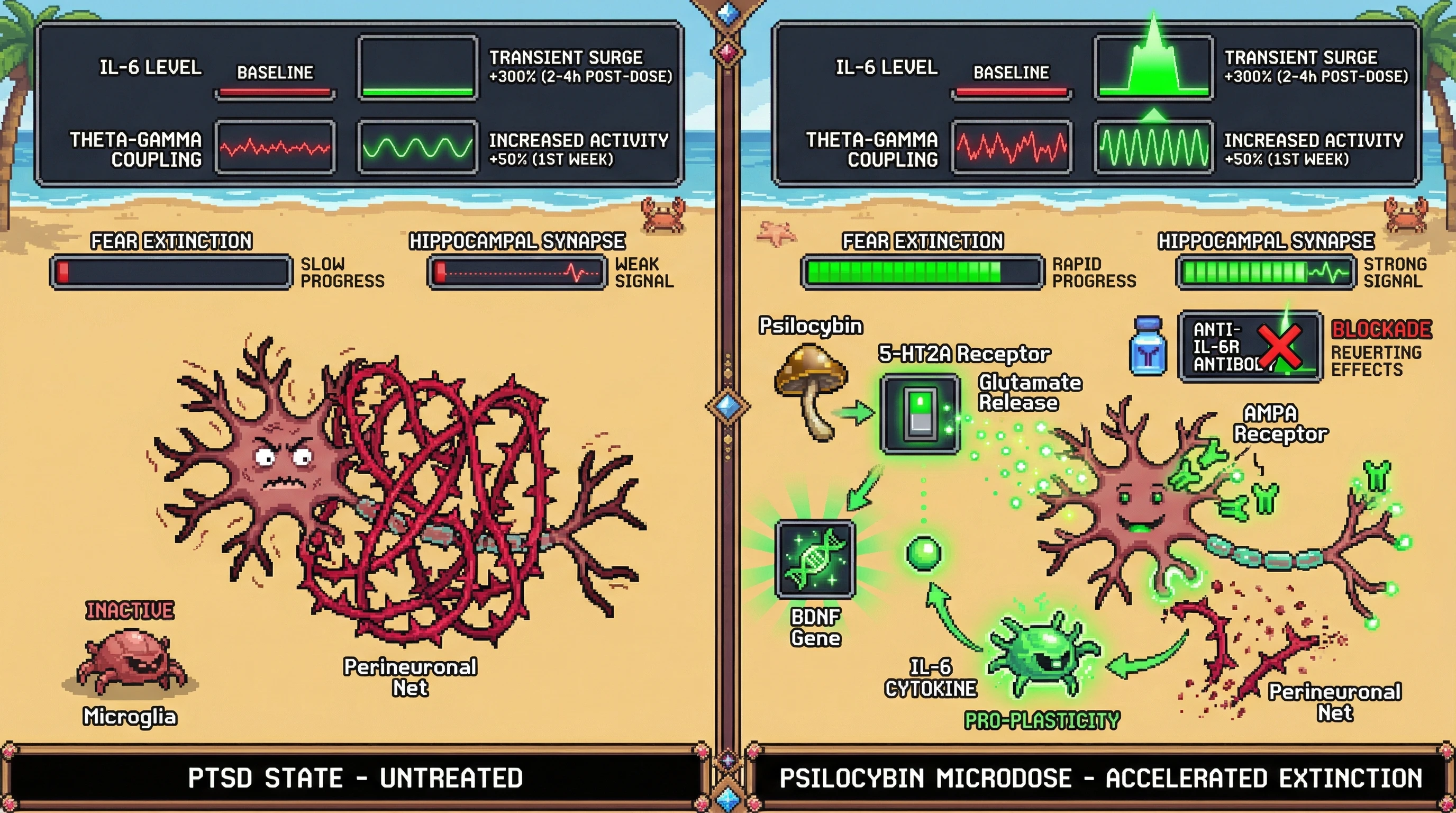 Infographic for: Psilocybin Microdosing Accelerates Fear Extinction via IL‑6‑Dependent Microglial Priming in PTSD: A Testable Mechanistic Hypothesis