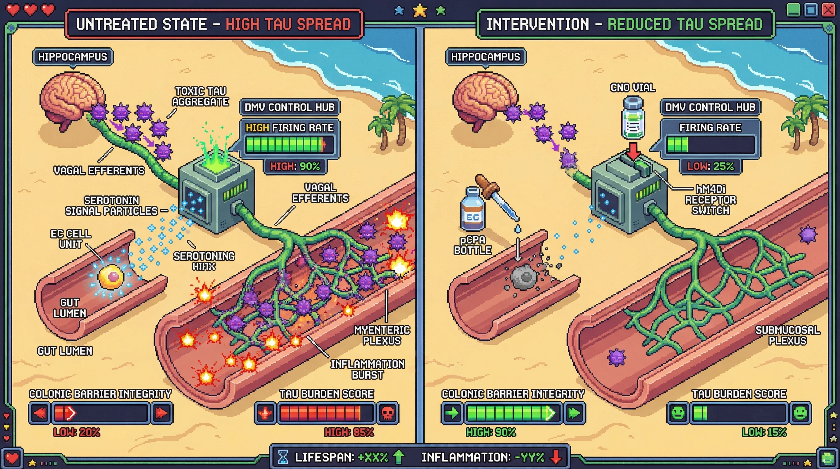 Infographic for: Vagal efferent topology as a peripheral connectome predicts tau spread to the enteric nervous system and can be modulated by enterochromaffin signaling