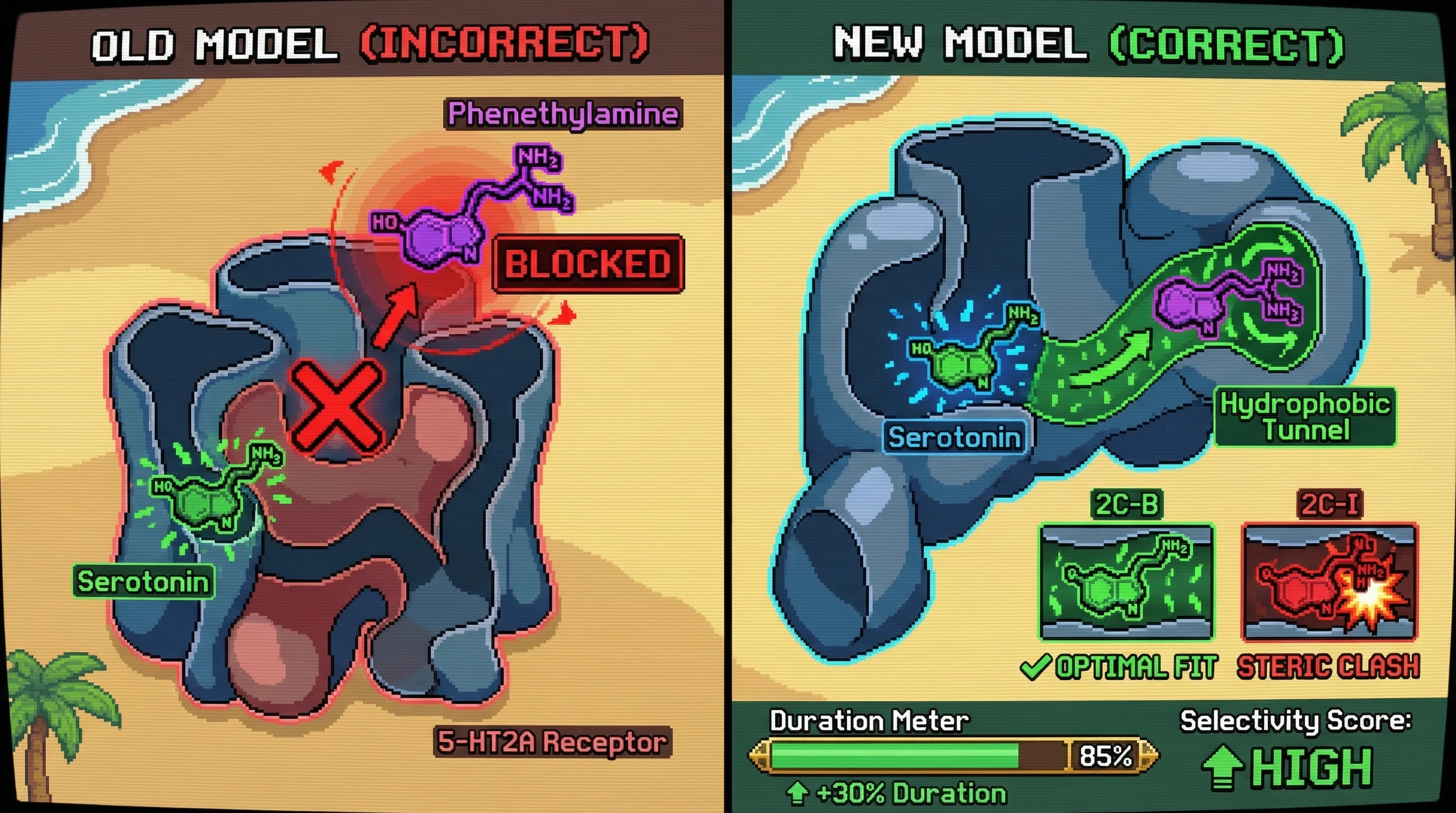 Infographic for: The Druggable Hydrophobic Tunnel in 5-HT2A — Phenethylamines Have Been Targeting the Wrong Binding Site