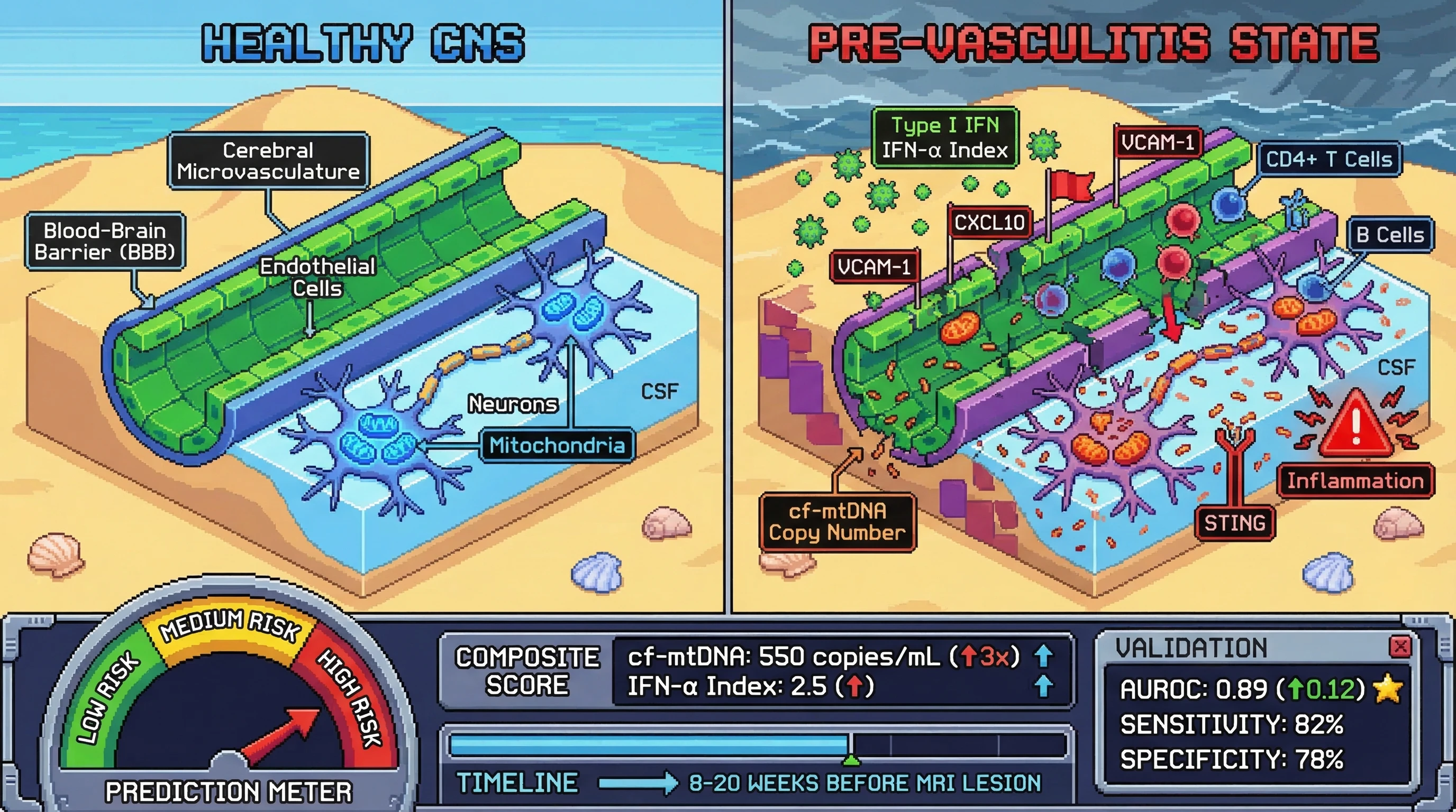 Infographic for: Cerebrospinal Fluid Cell-Free Mitochondrial DNA Copy Number Combined With Intrathecal IFN-α Index Predicts CNS Vasculitis in Primary Sjögren Syndrome 8–20 Weeks Before MRI Lesion Appearance