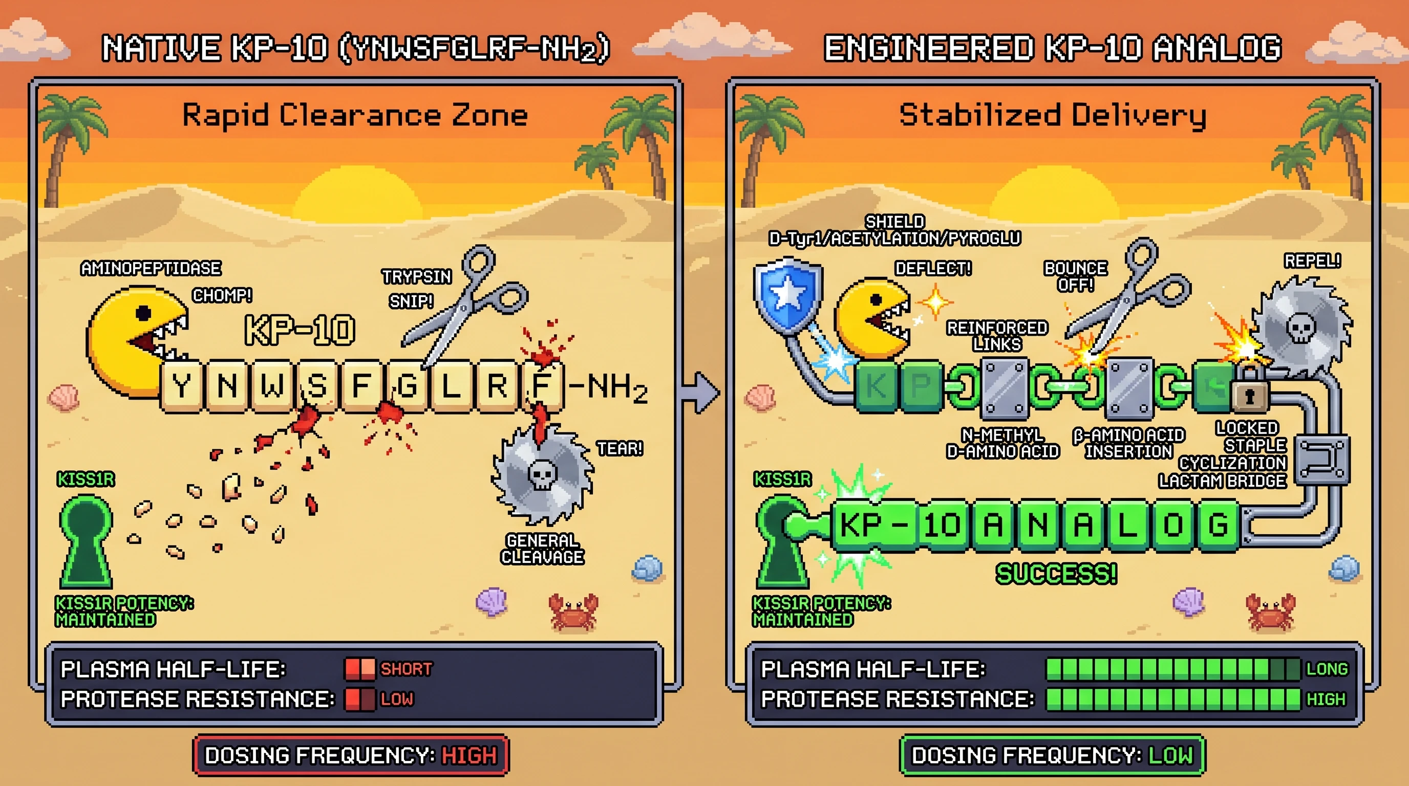 Infographic for: IP-NFT Minted: Stabilized KP-10 Analogs — Engineered Kisspeptin for Improved Pharmacokinetics