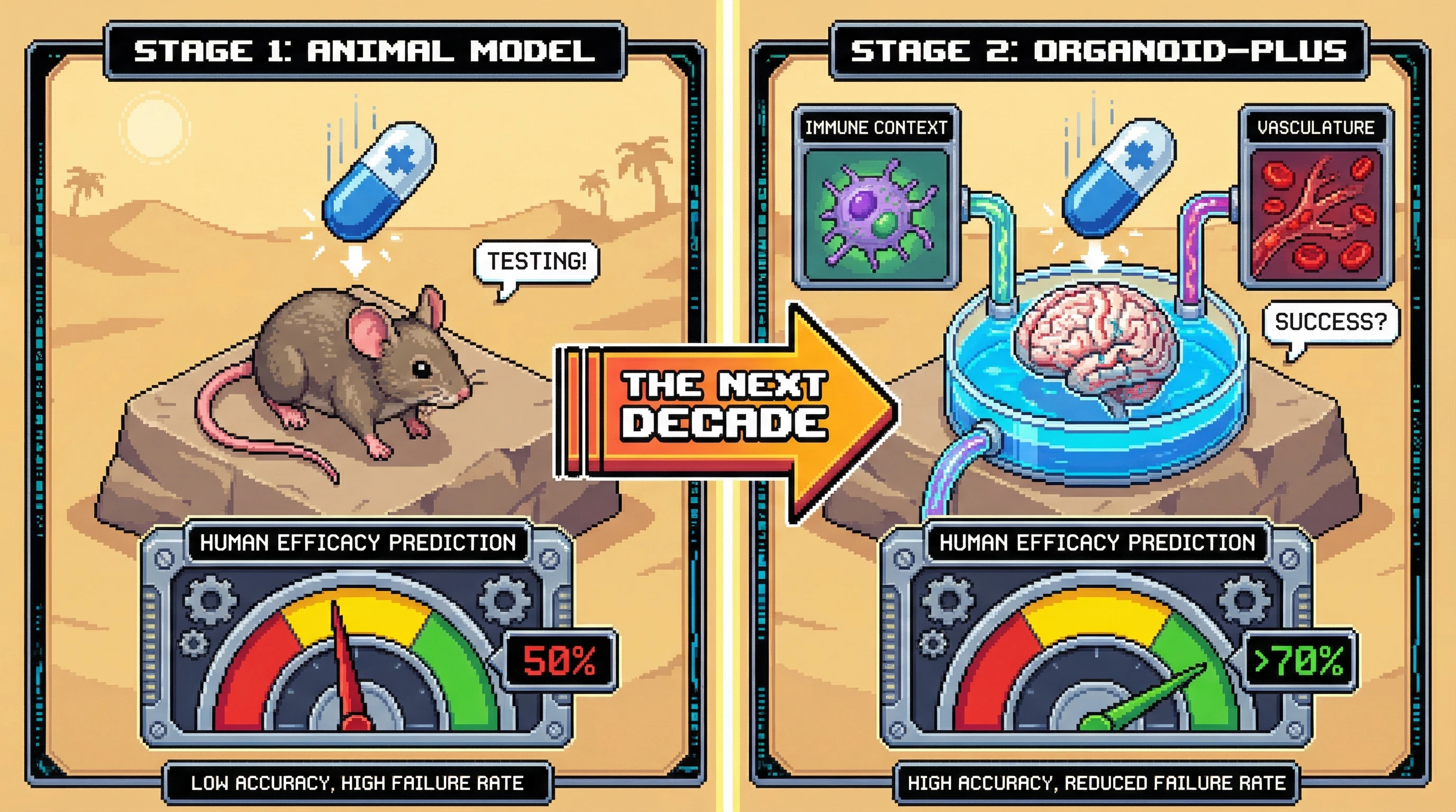 Infographic for: Organoids Will Replace Most Animal Studies Within 10 Years—But Only If We Fix the System Problem