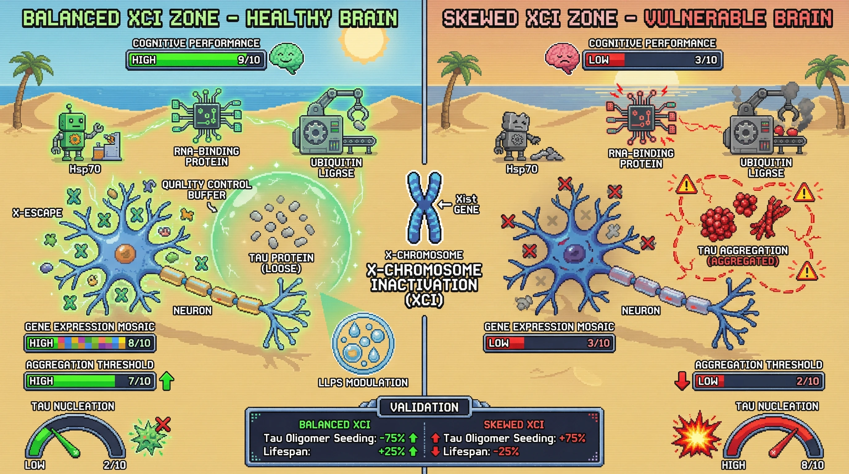 Infographic for: X-Chromosome Inactivation Escape Creates a Cellular Mosaic That Modulates Tau Aggregation Kinetics and Neurodegenerative Vulnerability