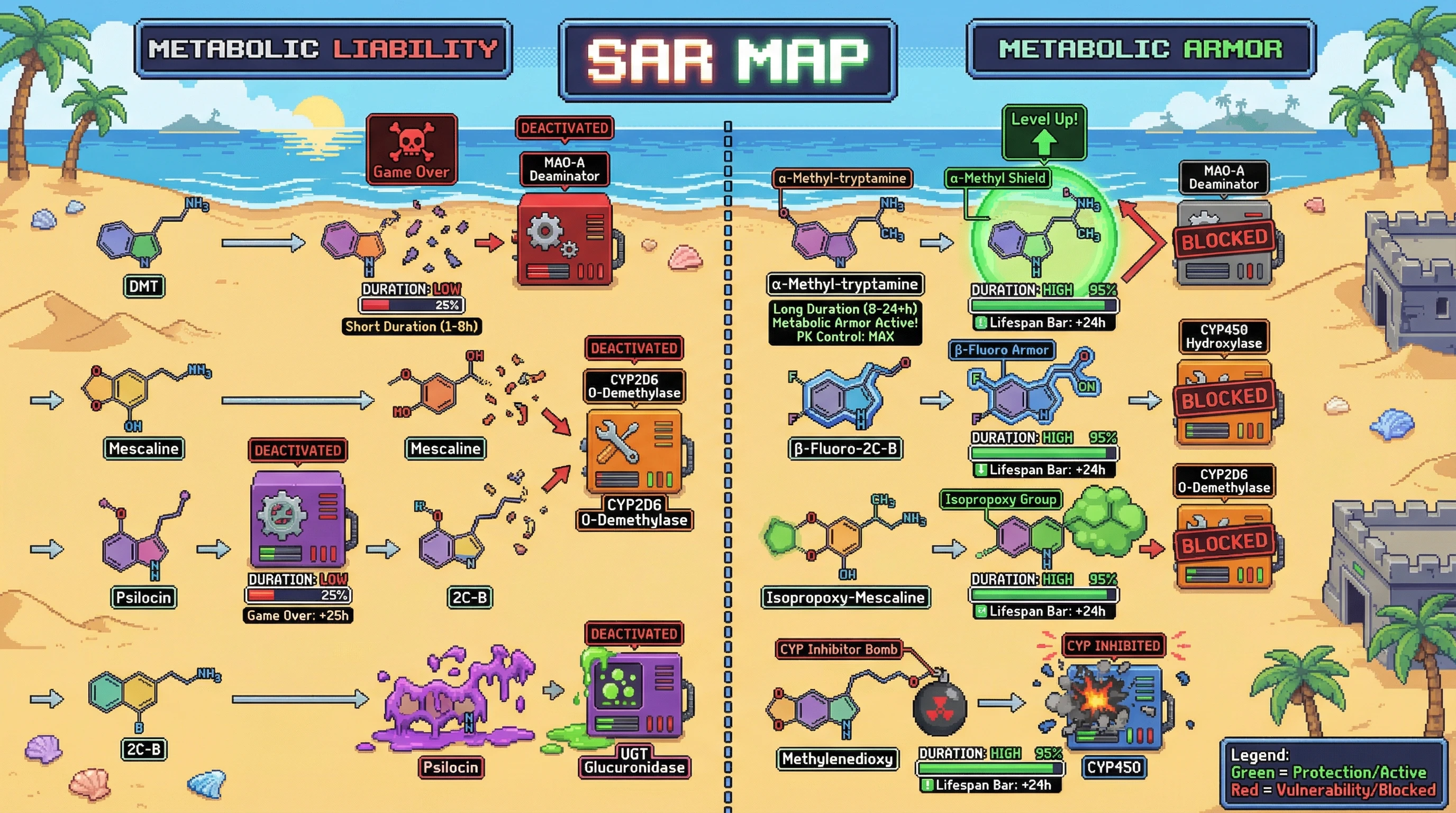 Infographic for: The Metabolic Armor SAR Map—How Alpha-Methylation and Beta-Blocking Create 24-Hour Psychedelics