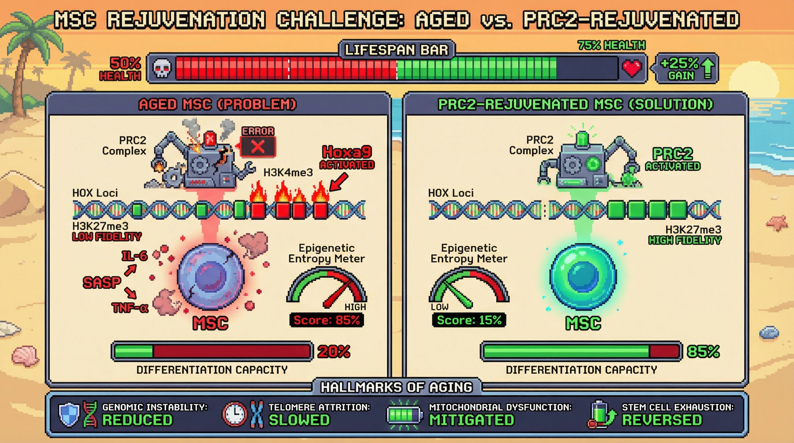 Infographic for: PRC2-Driven Epigenetic Fidelity Loss as a Unitary Driver of Multitissue Aging Hallmarks