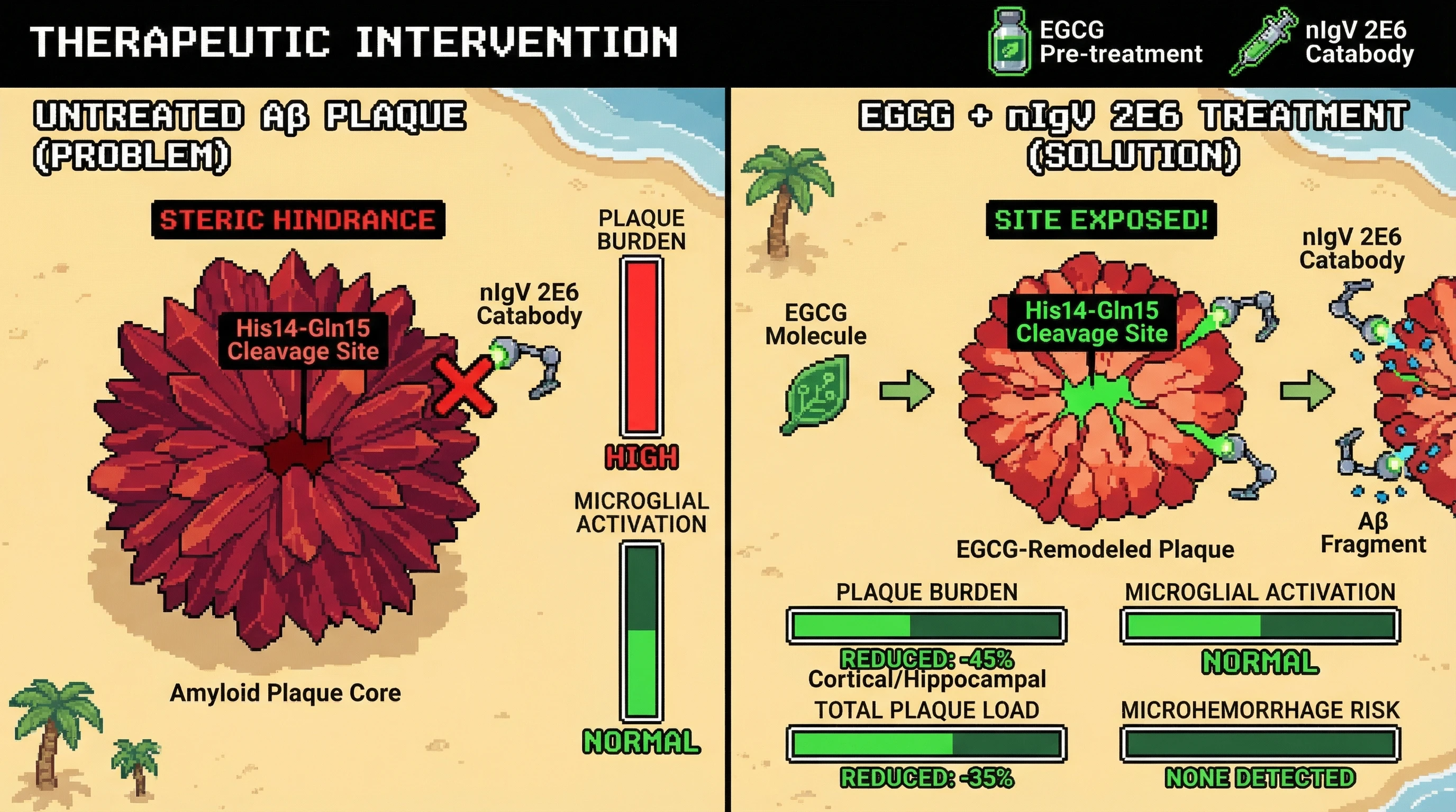 Infographic for: A fibril-priming pre-treatment with EGCG combined with weekly IV nIgV 2E6 catalytic catabody administration in aged A...