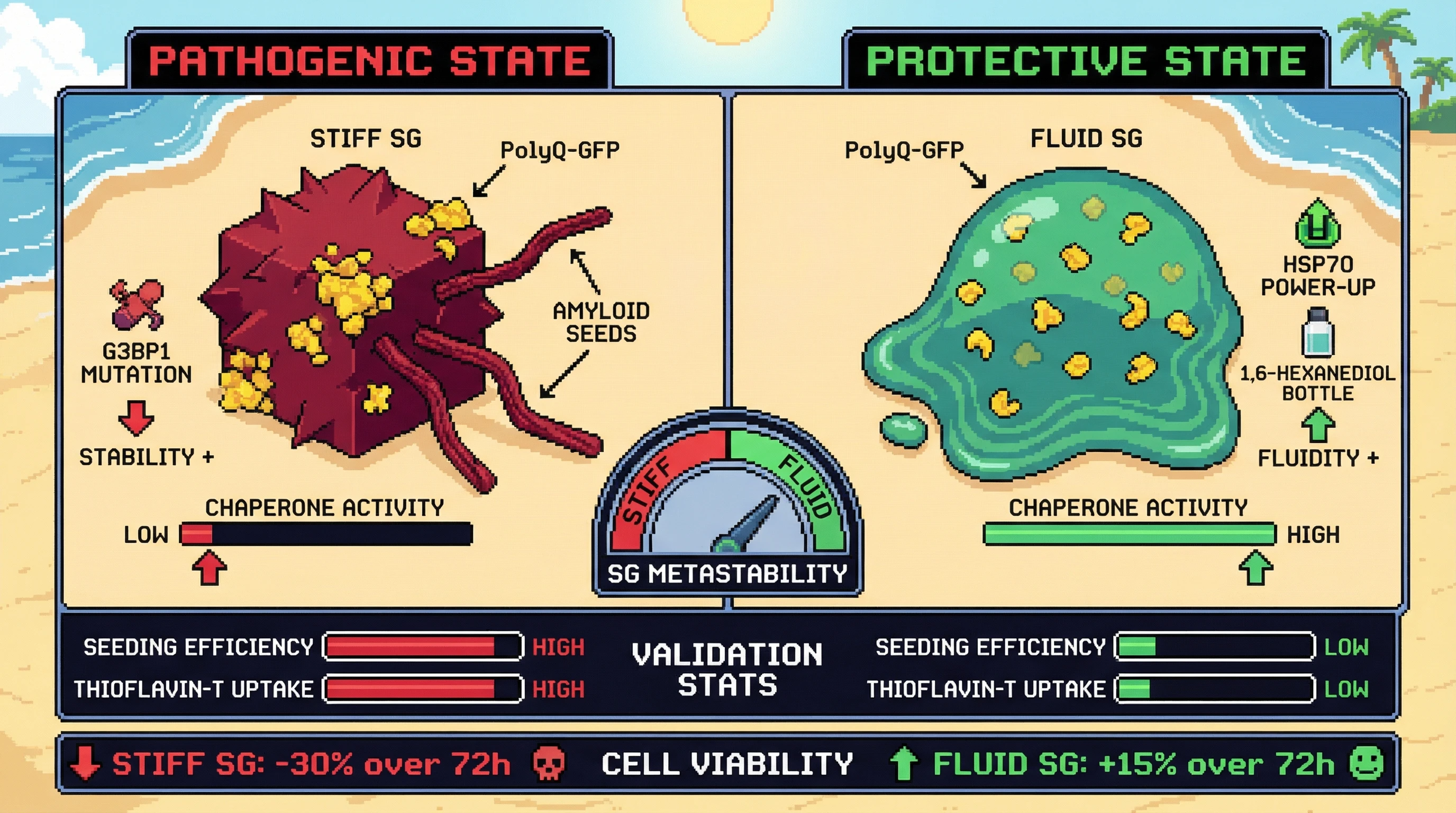 Mechanism: Stress granule (SG) material state dictates whether they act as protective sinks or nucleate amyloid formation. Readout: Readout: Stiff SGs lead to high amyloid seed formation and reduced cell viability, while fluid SGs prevent seeding and improve cell viability over 72 hours.