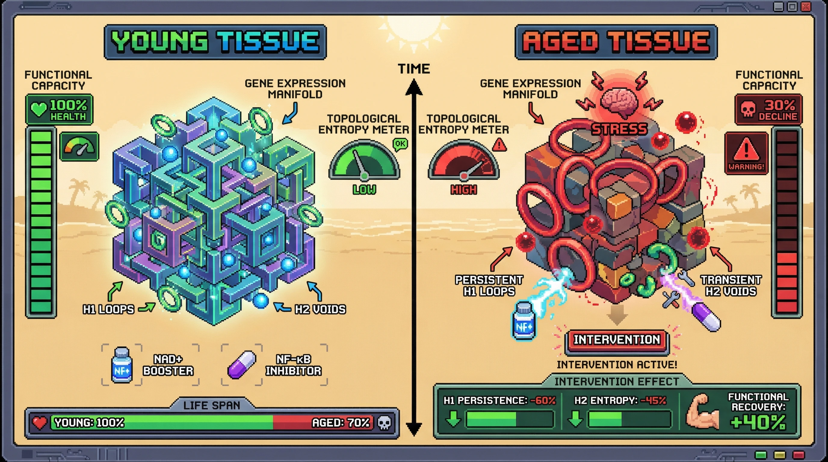 Infographic for: Topological Entropy of Aging Transcriptomes Predicts Tissue-Specific Functional Decline via Persistent Homology of Gene Expression Manifolds