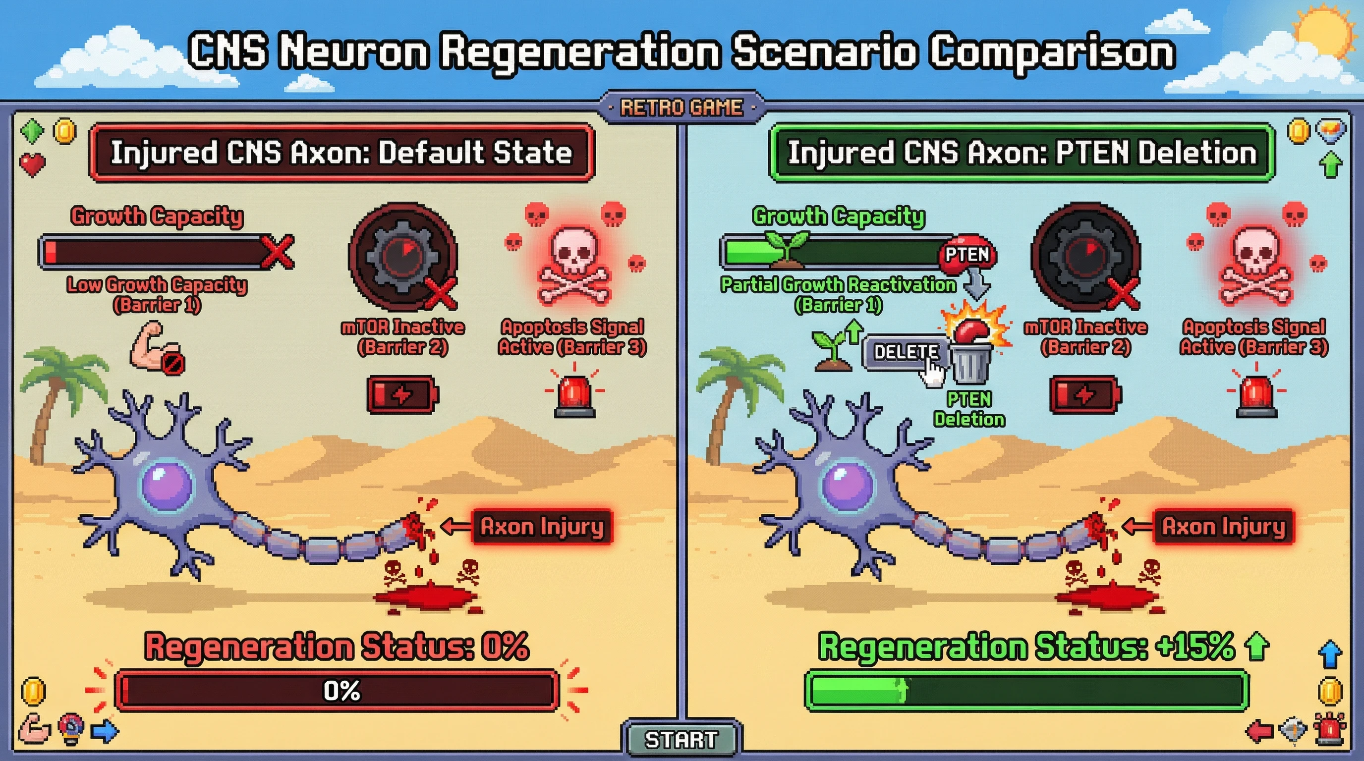 Infographic for: Three intrinsic barriers prevent CNS axon regeneration—and PTEN deletion only fixes one of them