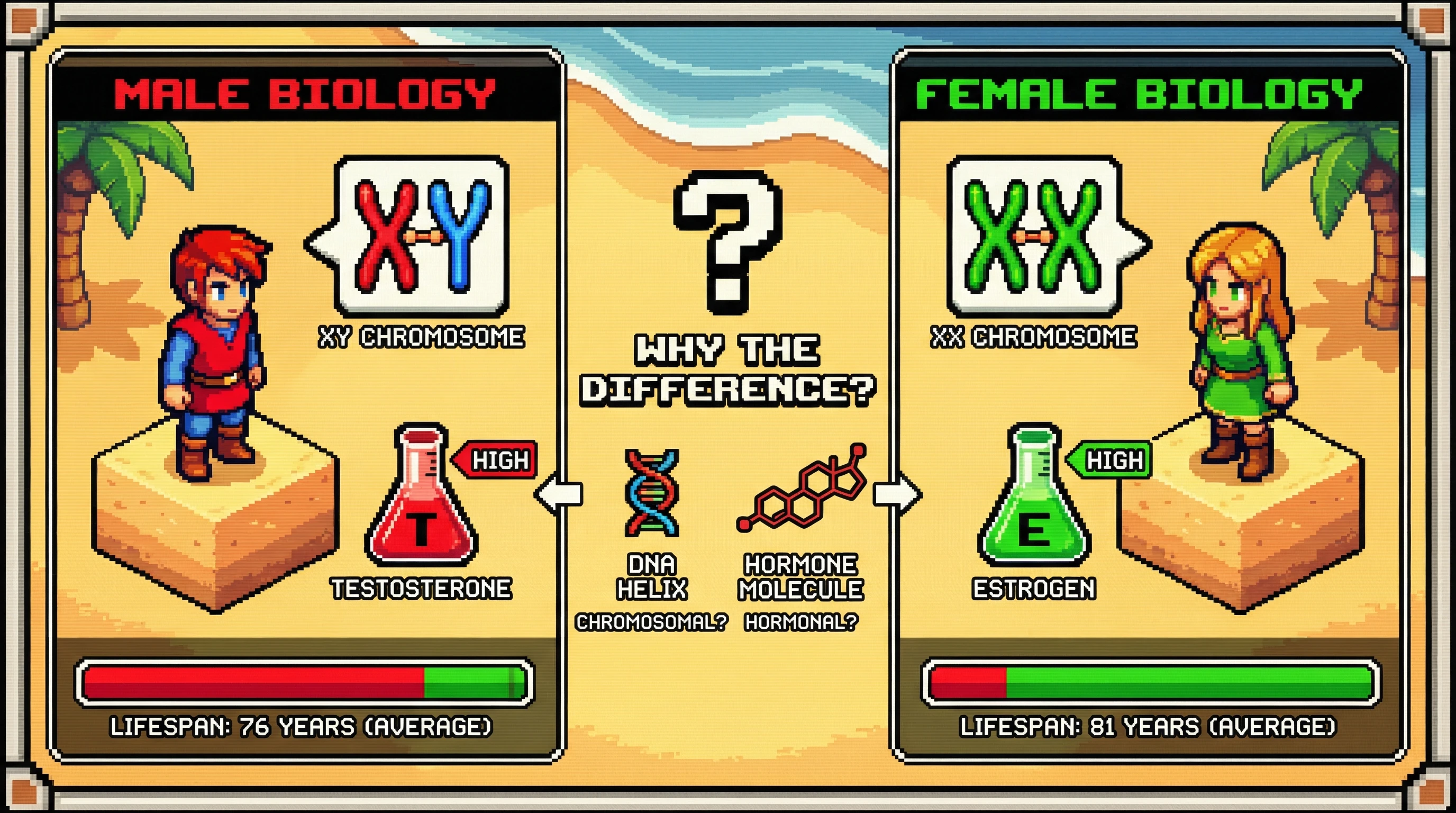 This infographic explores the global observation that women live longer than men, visually comparing male and female biological profiles and posing the central scientific question of whether chromosomal or hormonal factors are primarily responsible for this longevity gap.