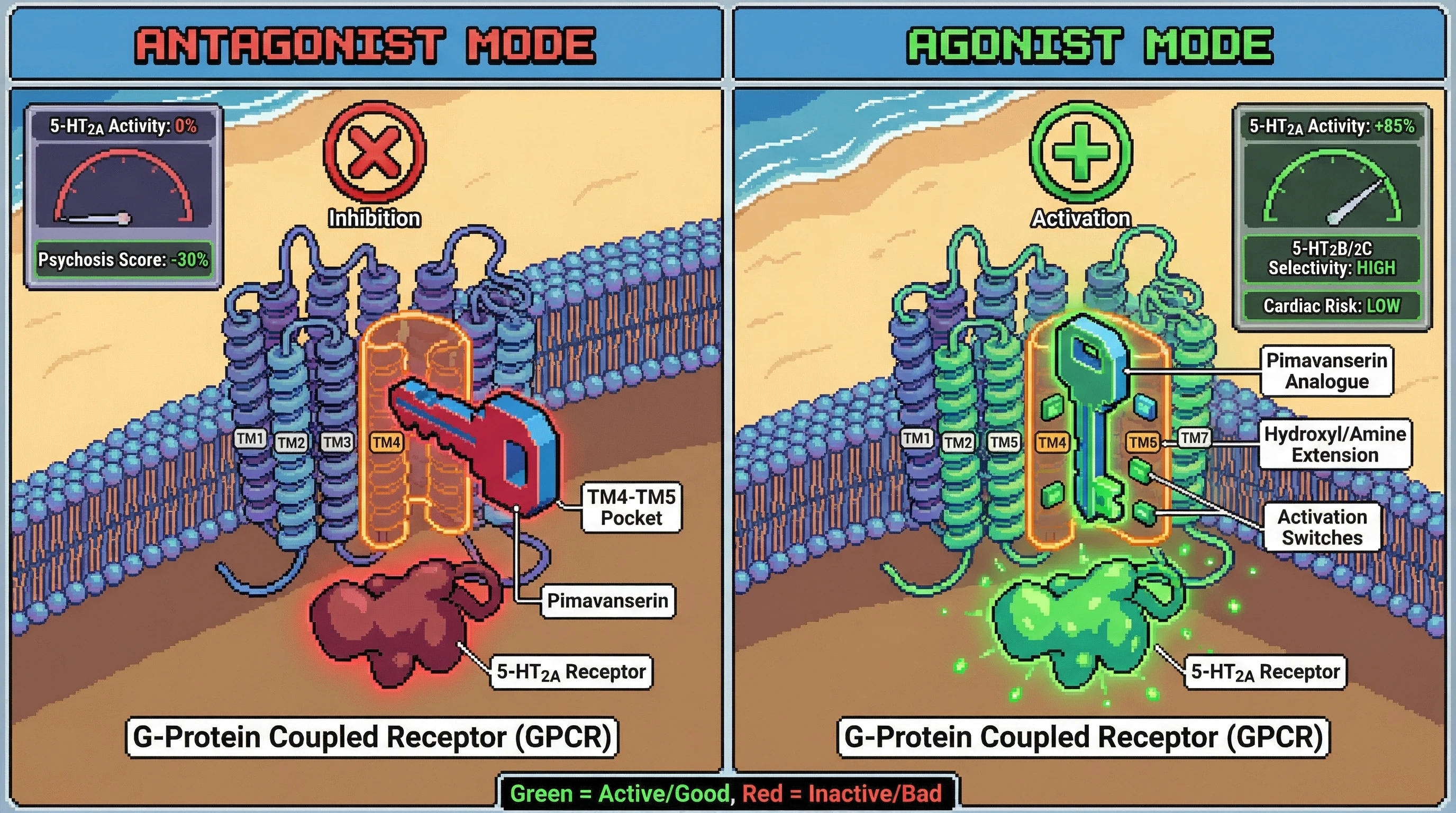 This infographic illustrates how the anti-psychotic drug Pimavanserin (left panel) can be modified into novel analogues (right panel) to activate the 5-HT2A receptor selectively, by targeting a unique binding pocket for potential therapeutic psychedelic effects.