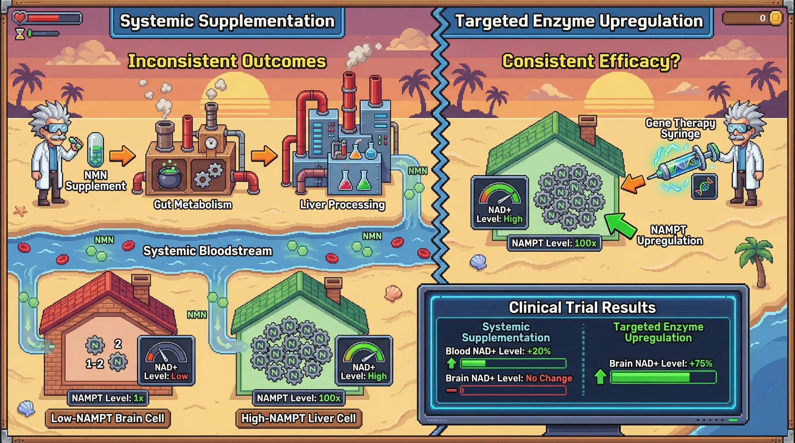 Mechanism: Orally administered NAD+ precursors (NMN) are extensively metabolized in the gut and liver, leading to variable tissue-specific NAD+ increases depending on local NAMPT enzyme levels. Readout: Readout: Systemic supplementation shows high blood NAD+ but inconsistent tissue NAD+ changes, while targeted NAMPT upregulation directly elevates NAD+ in low-NAMPT tissues like the brain.
