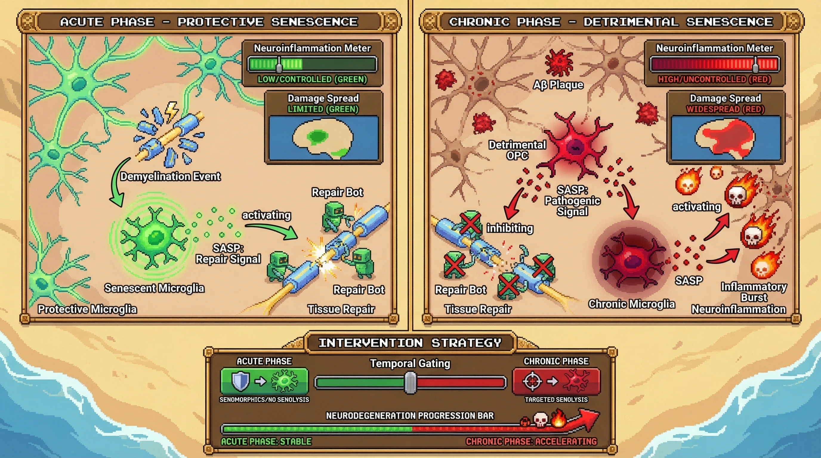 Infographic for: The Senolytic Paradox: Why Indiscriminate Clearance of CNS Senescent Cells Might Accelerate Neurodegeneration